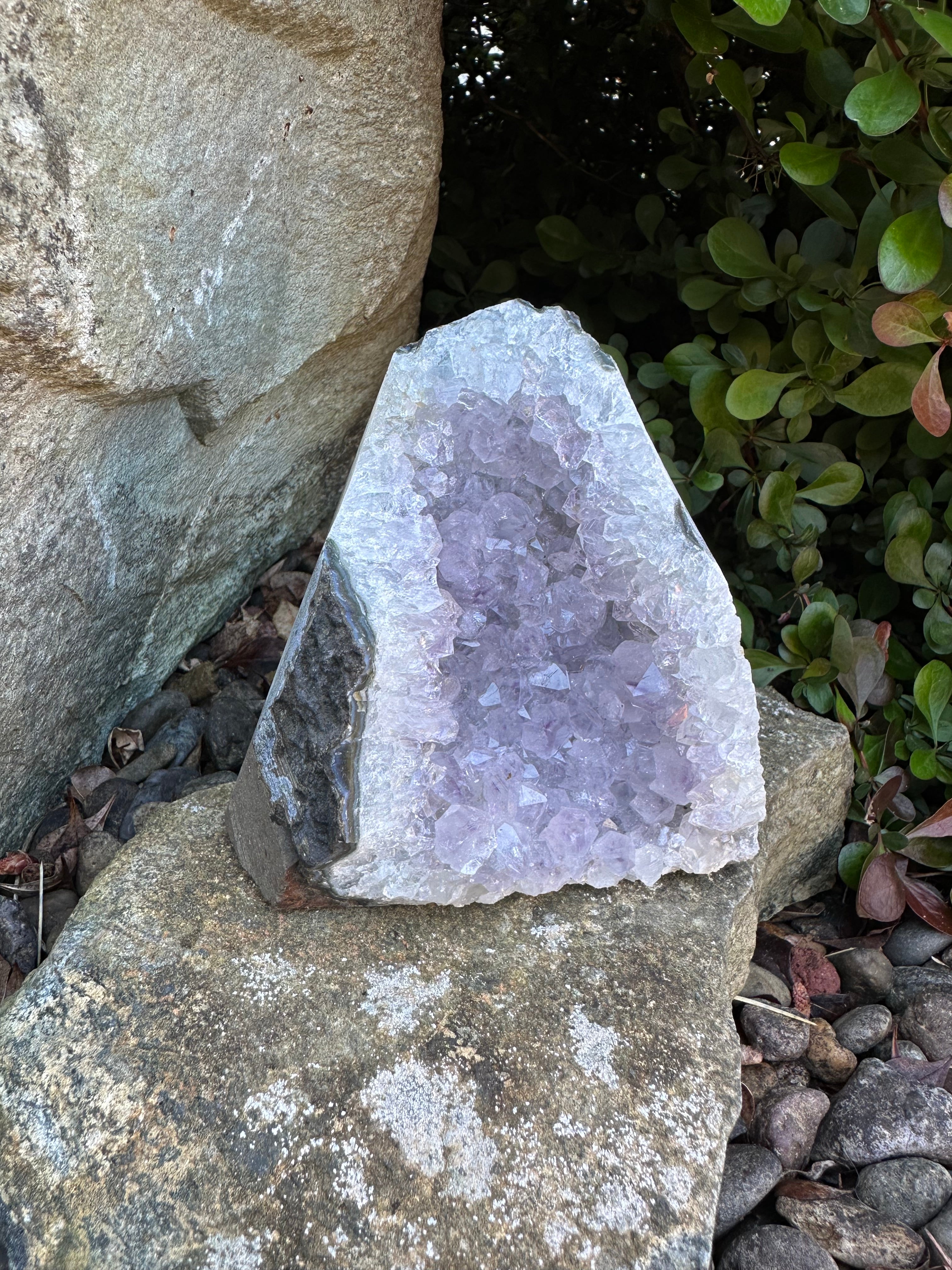 Amethyst Cluster