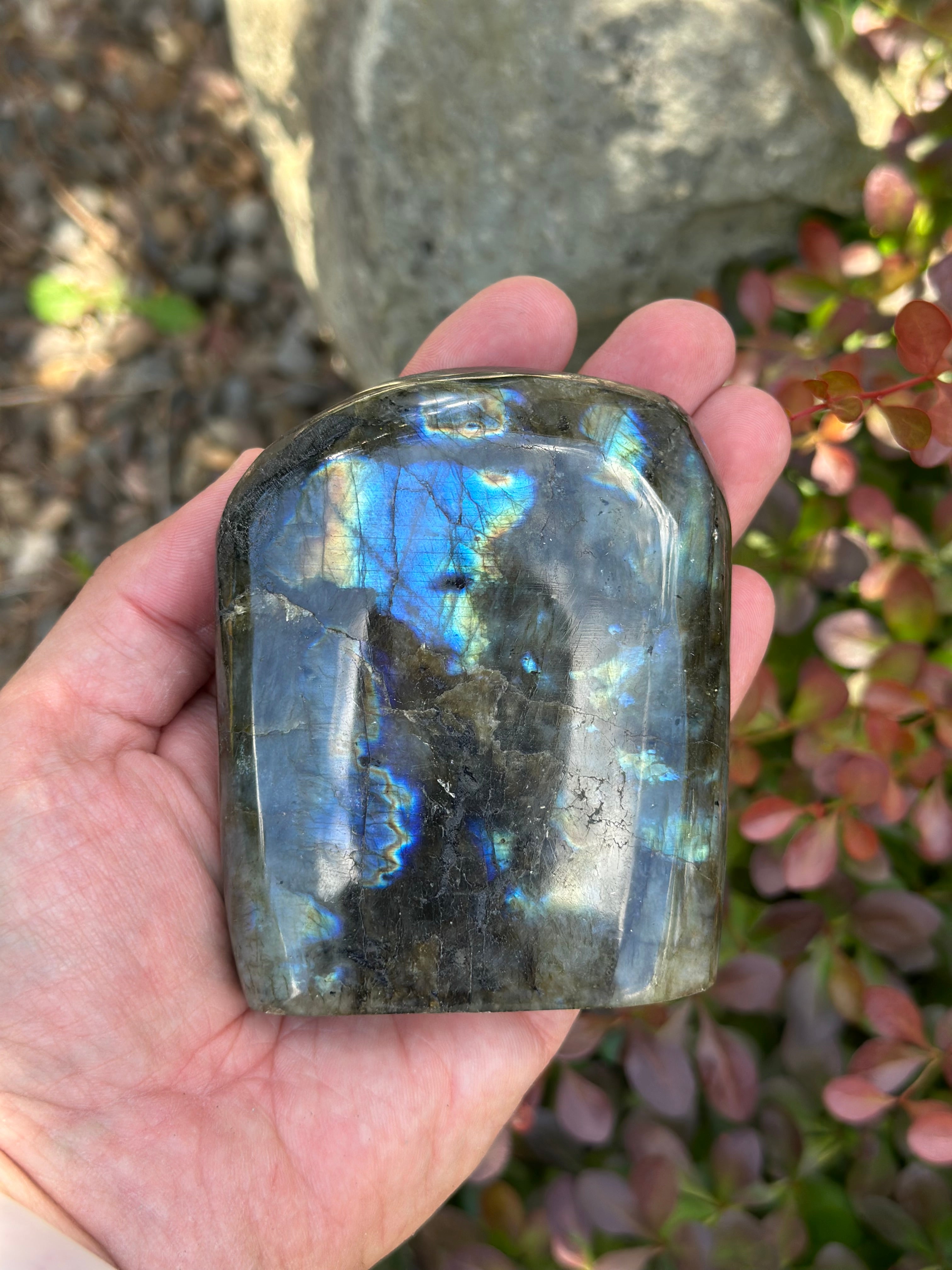 Midnight Aurora Labradorite Free Form