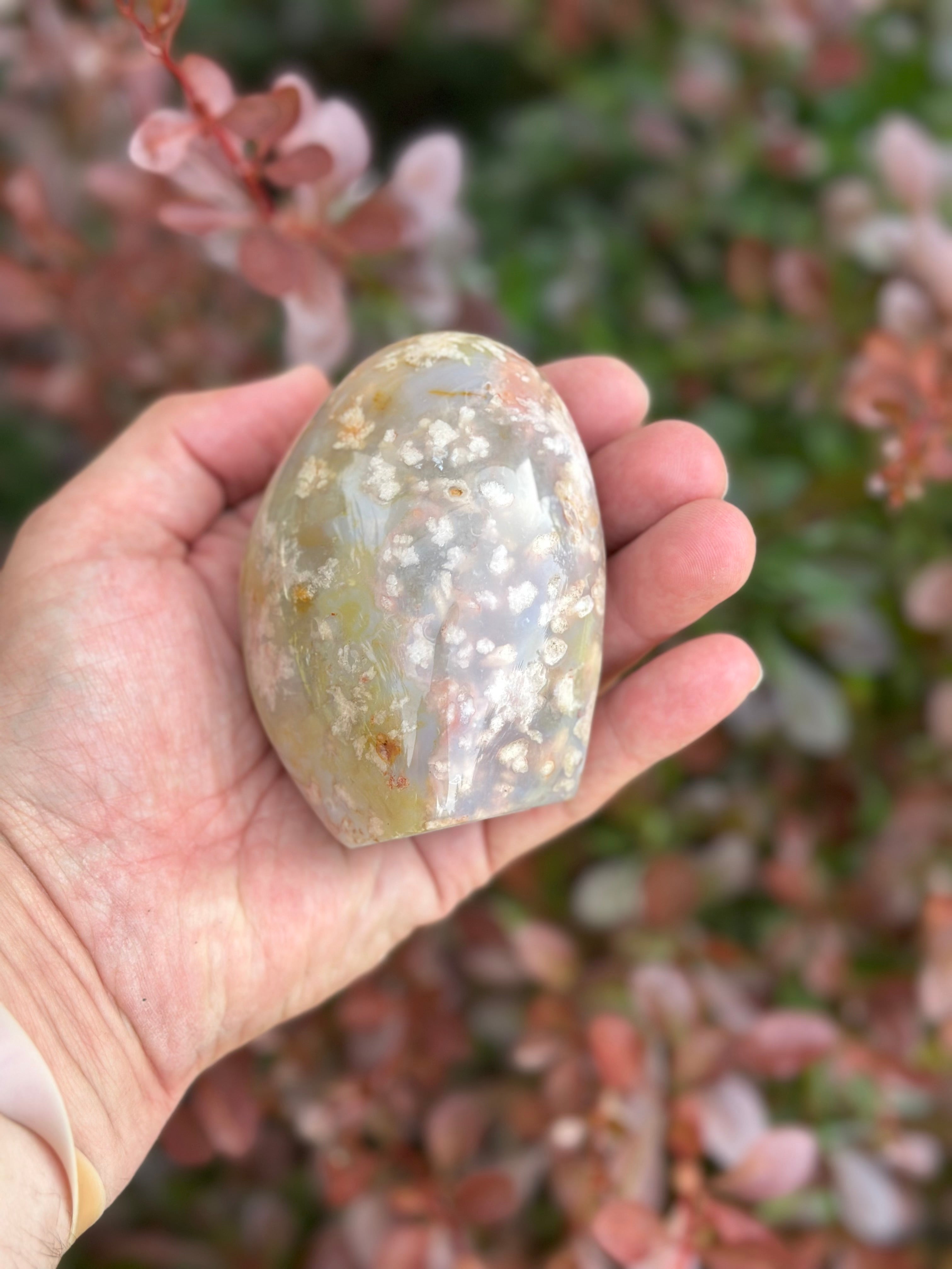 Flower Agate Freeform