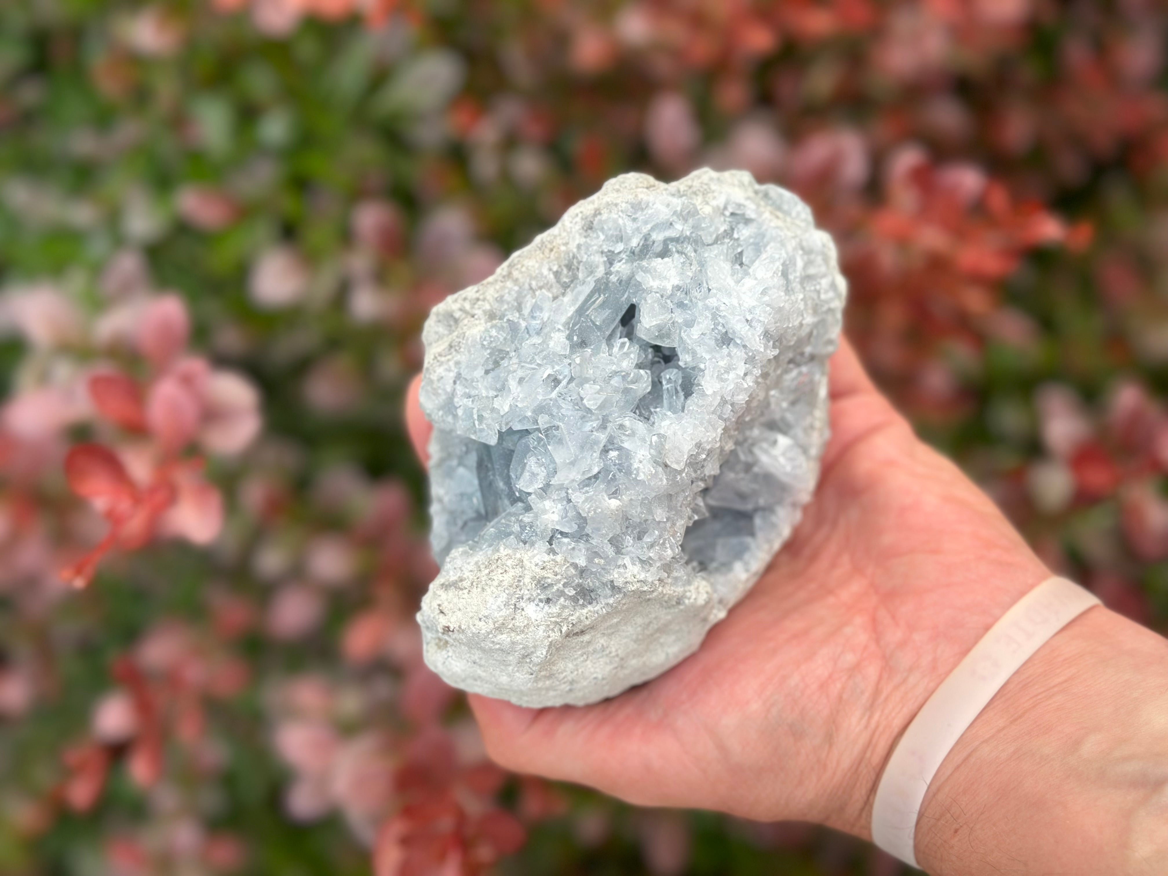 Sanctuary of Stillness- Celestite Geode