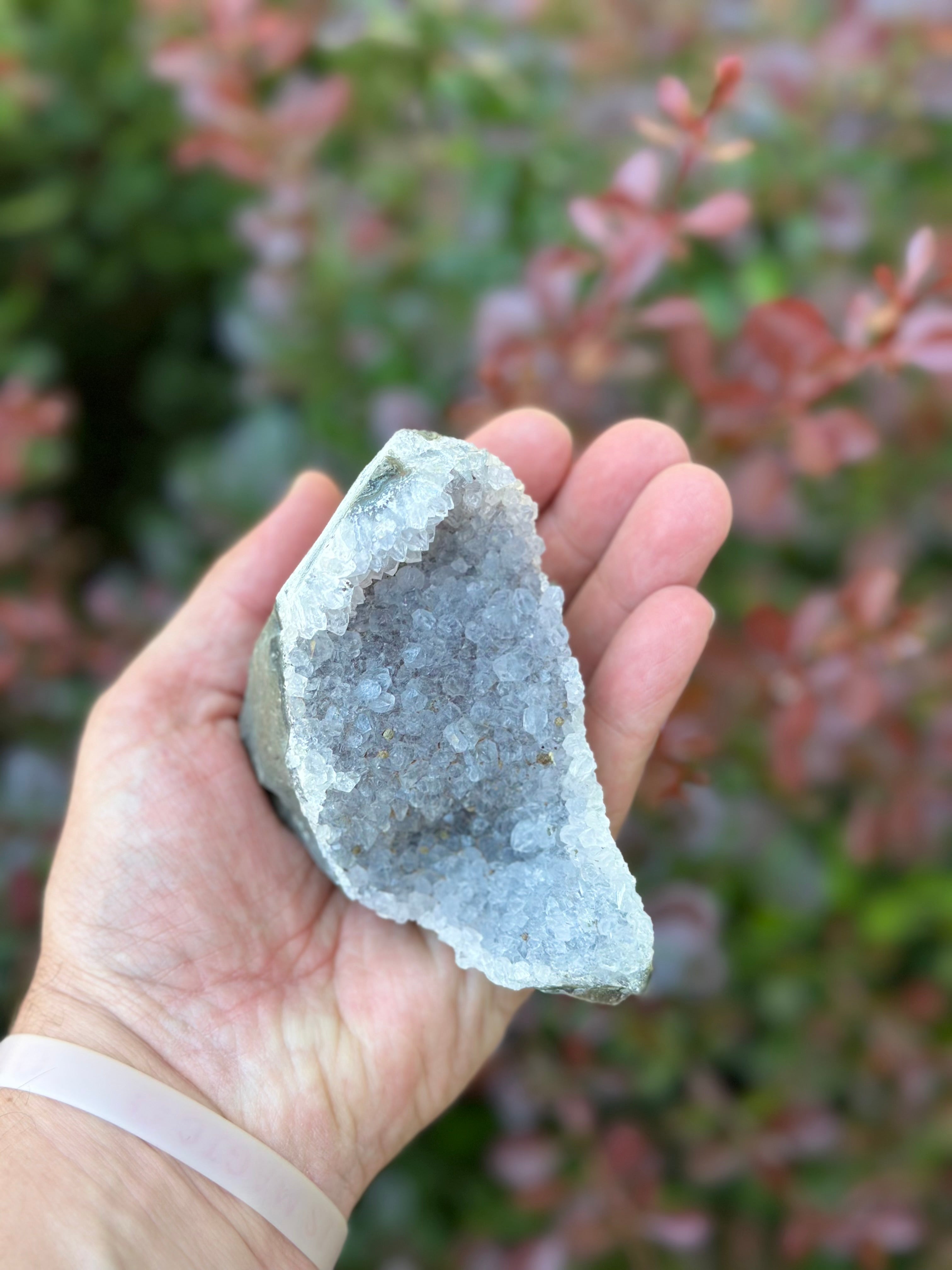 Amethyst Cluster