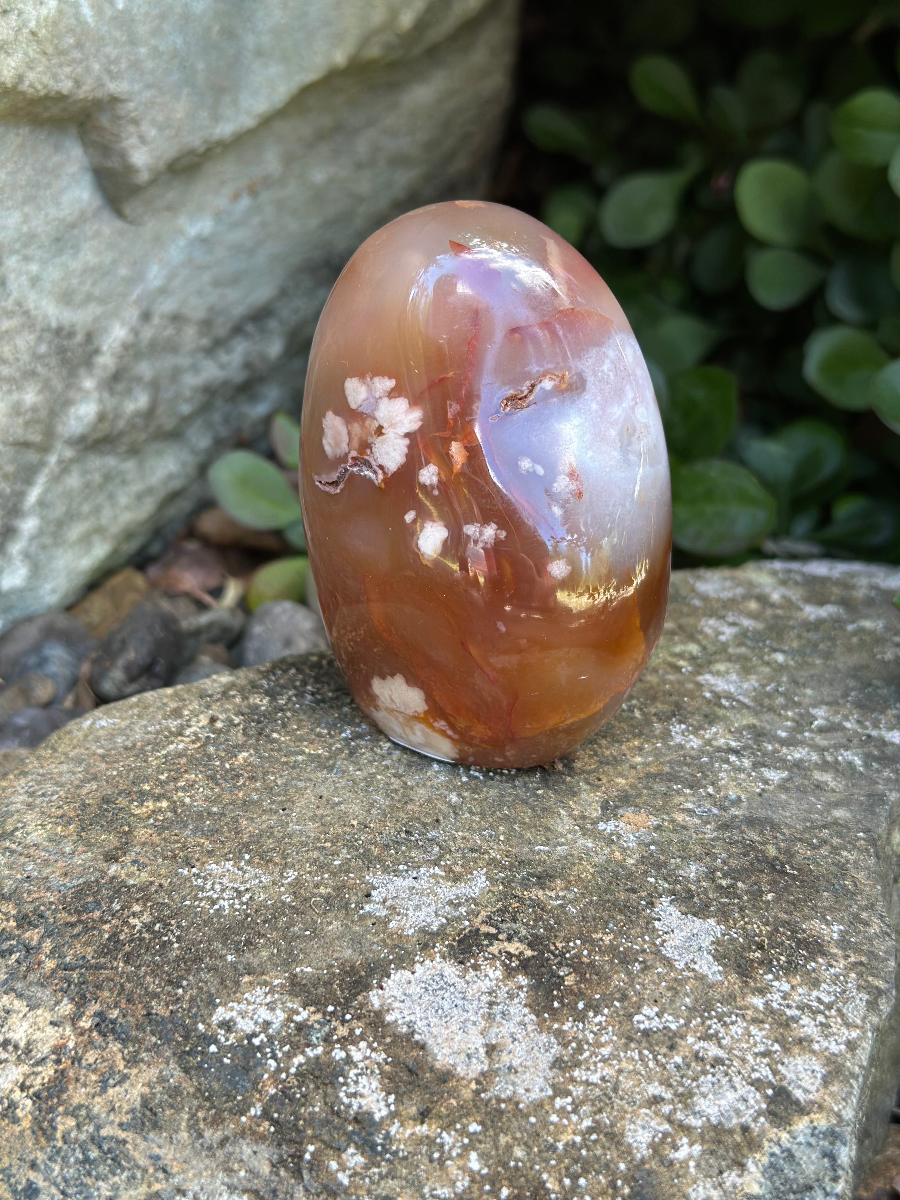 Desert Bloom-Flower Agate Freeform