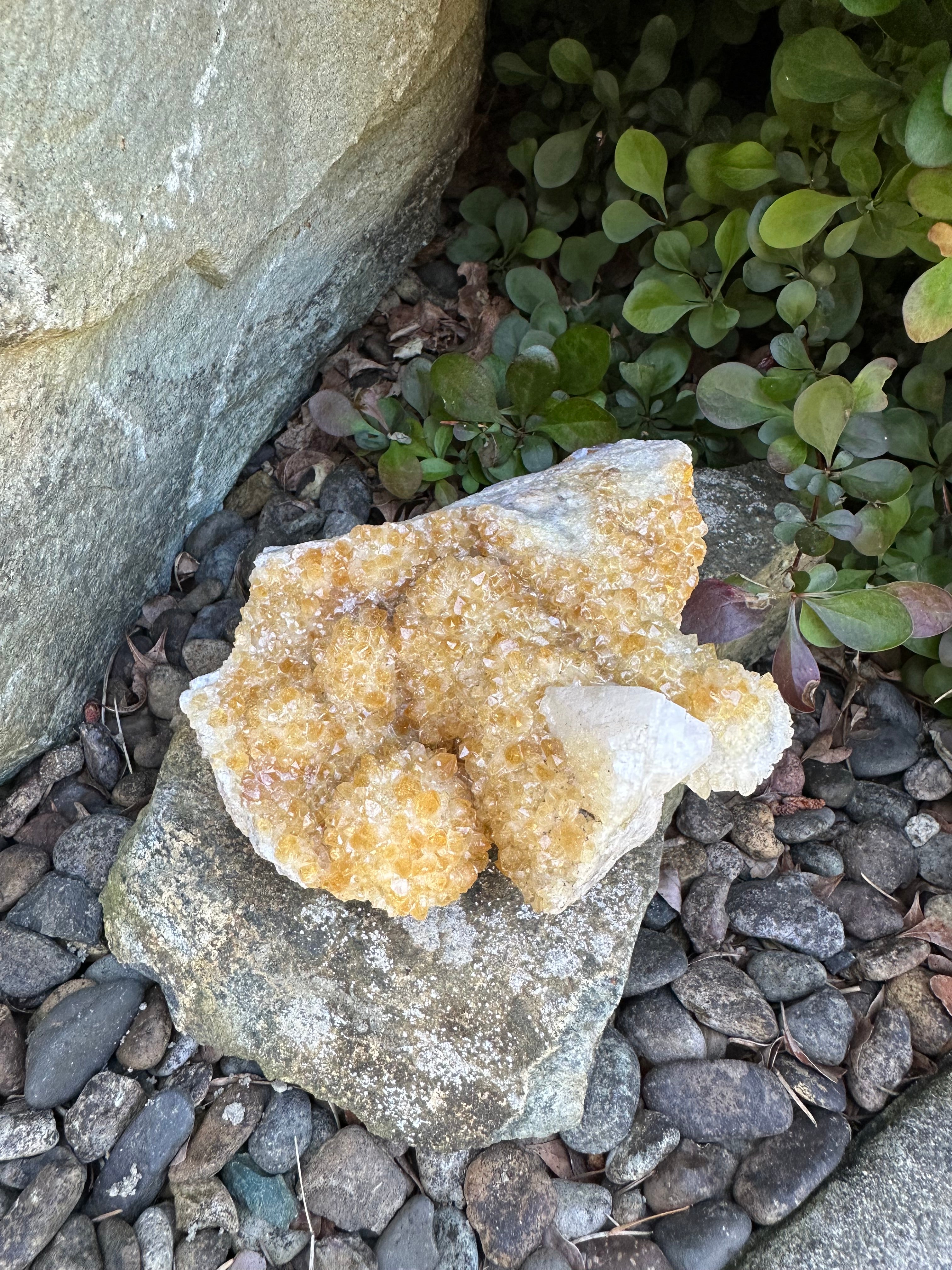 Citrine Cluster