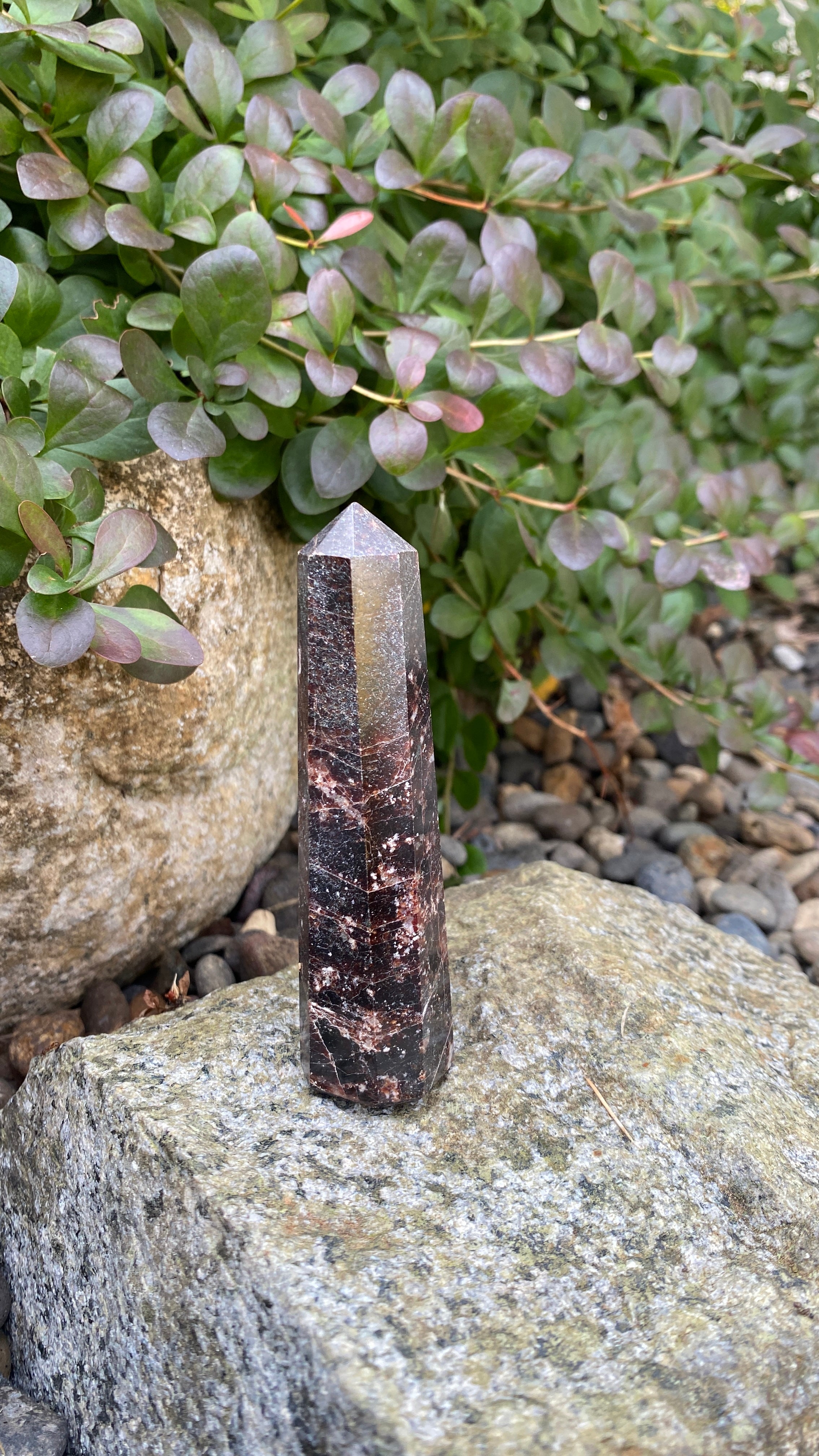 Garnet Tower D