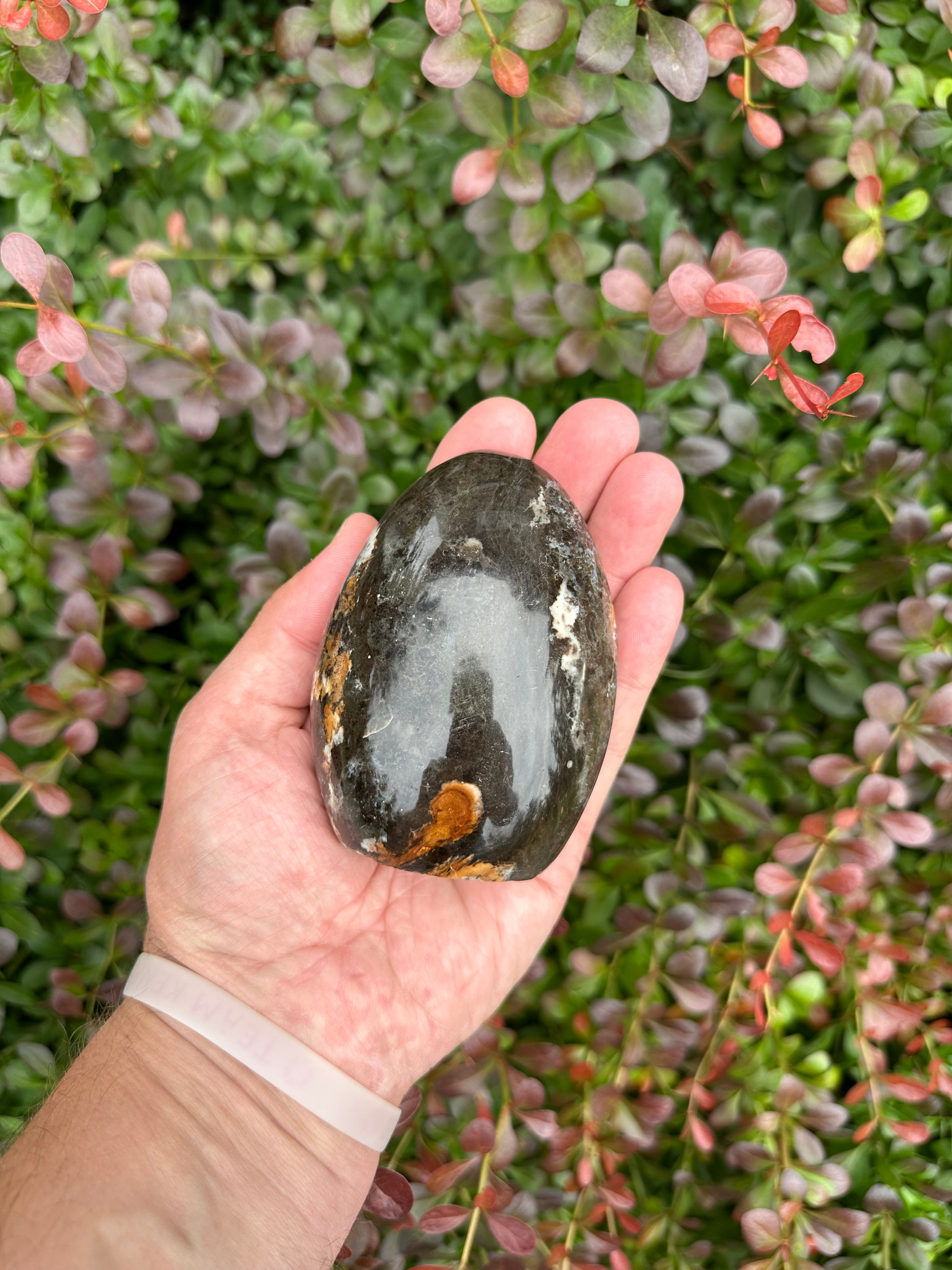 Myla and Salem’s Black Opal Freeform