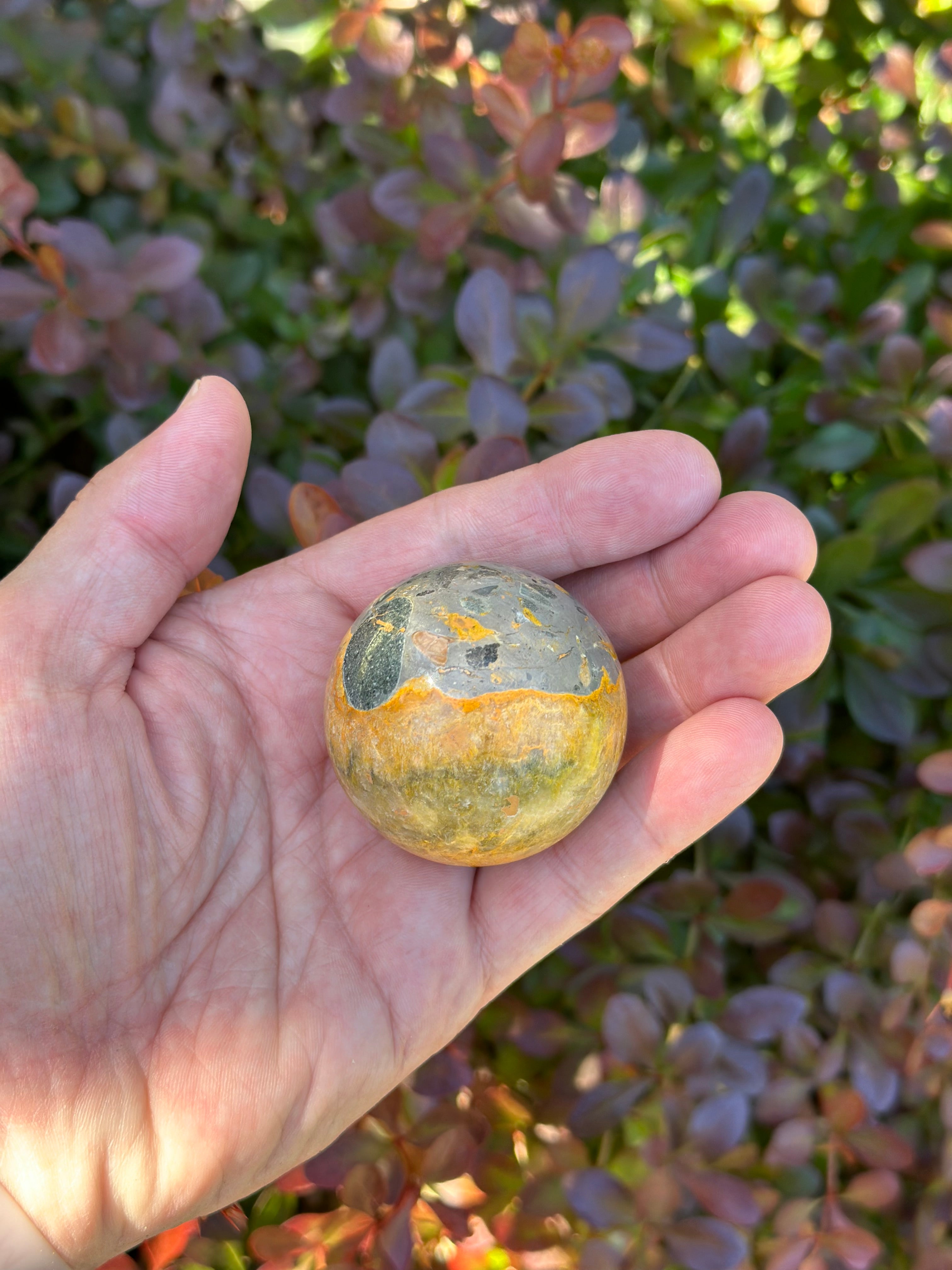 Bumblebee Jasper Sphere B with petrified wood stand