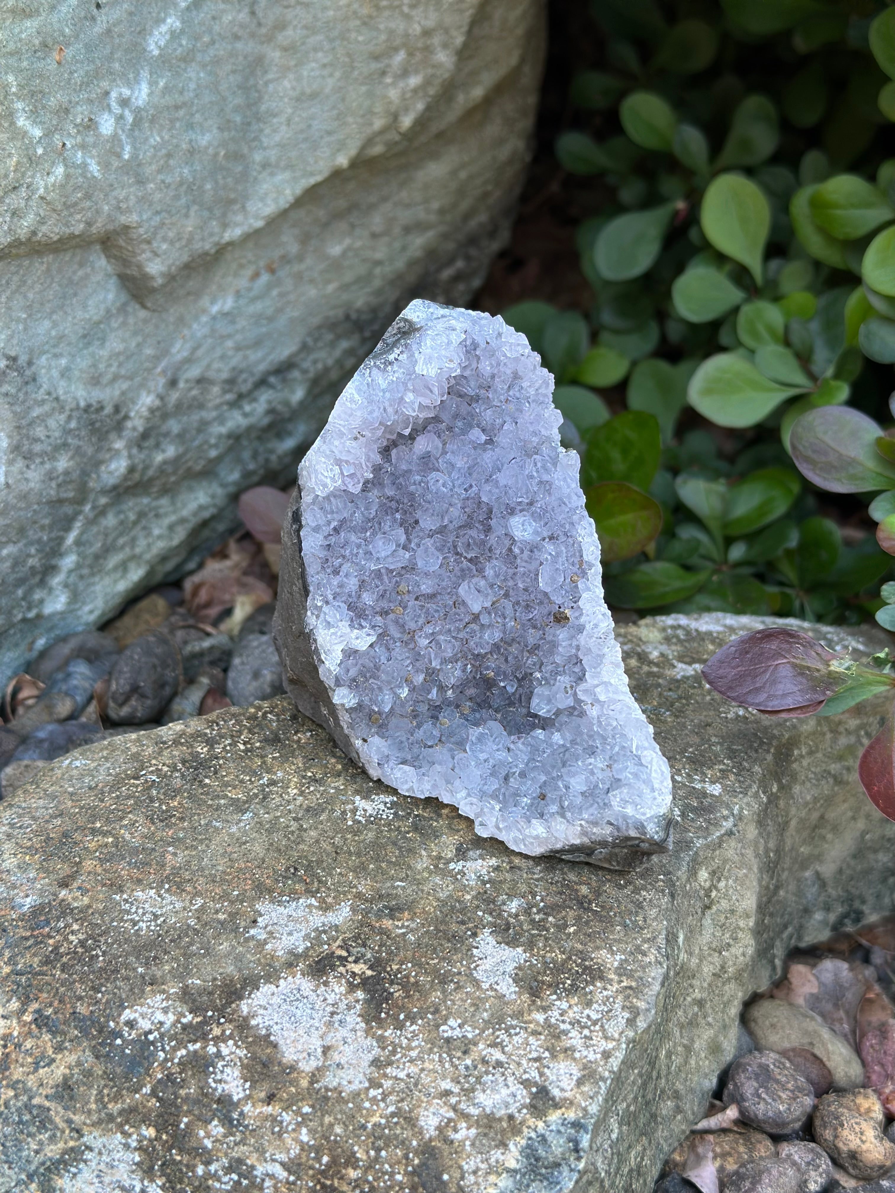 Amethyst Cluster