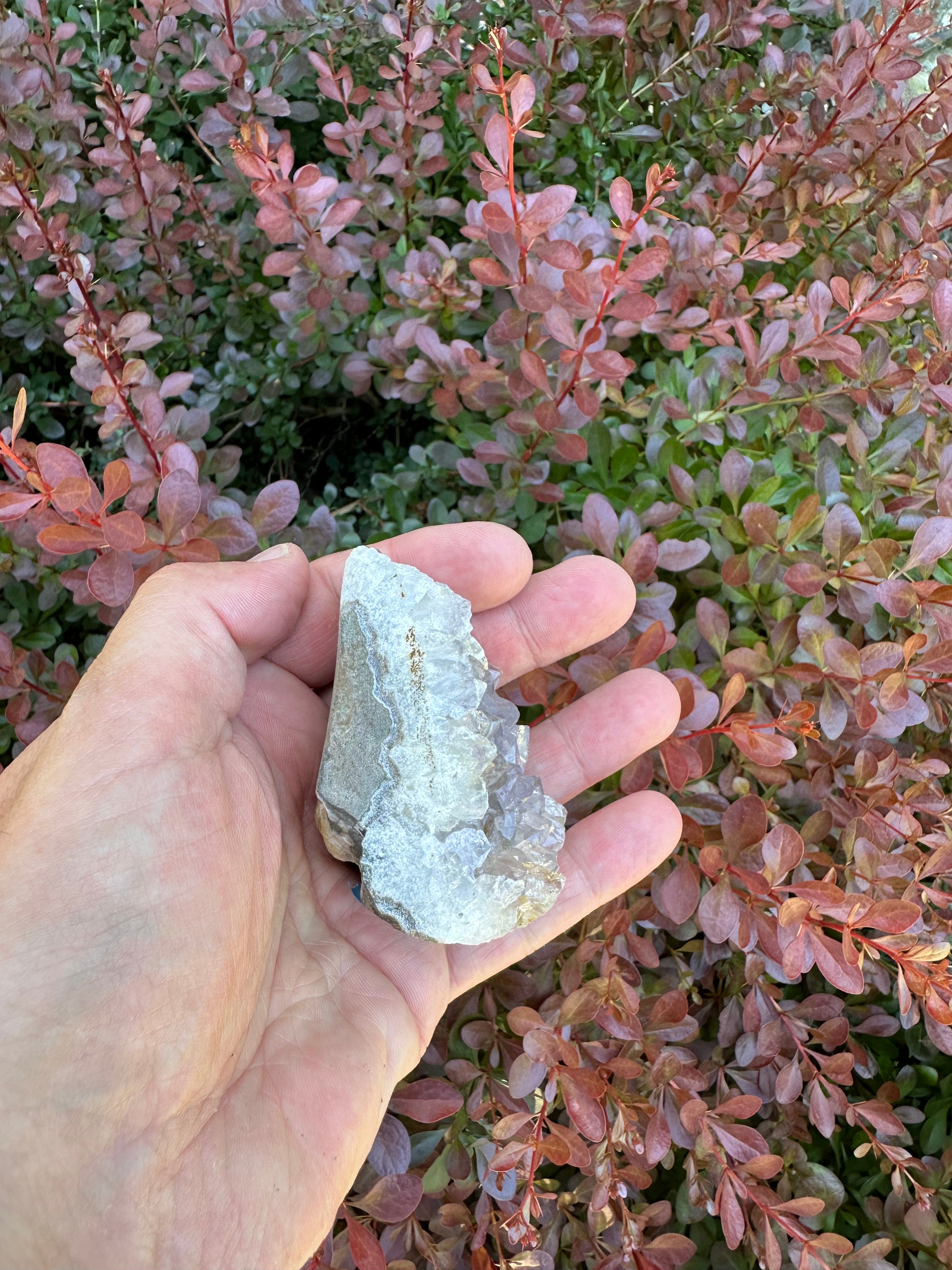 Amethyst Cluster