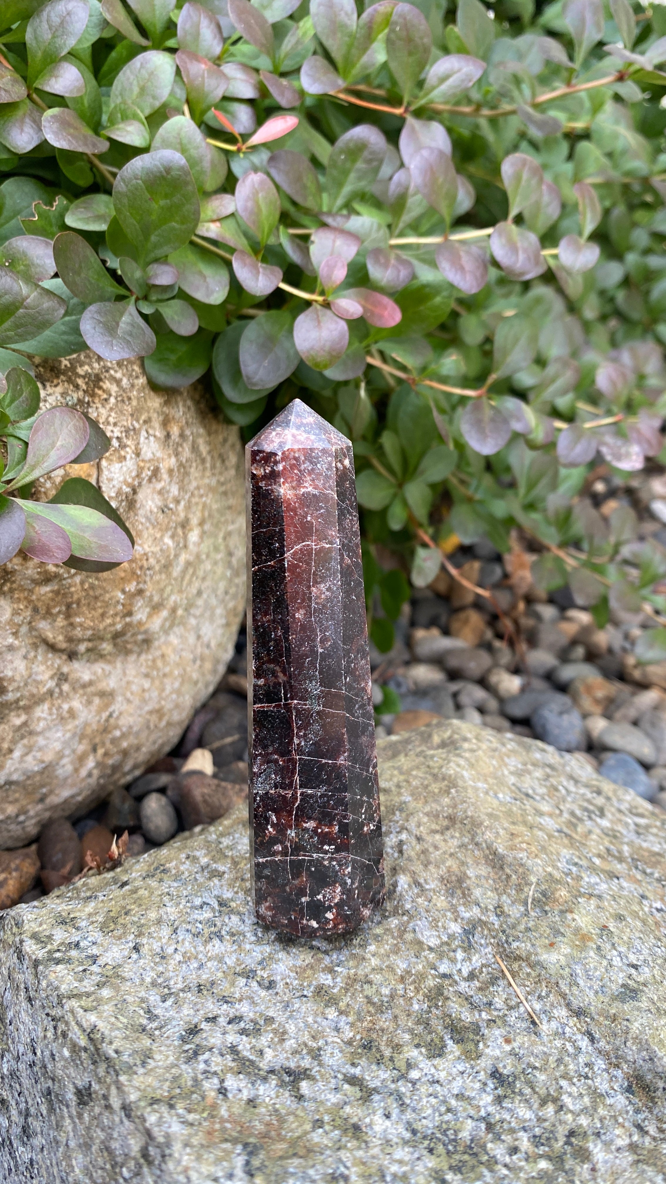 Garnet Tower D