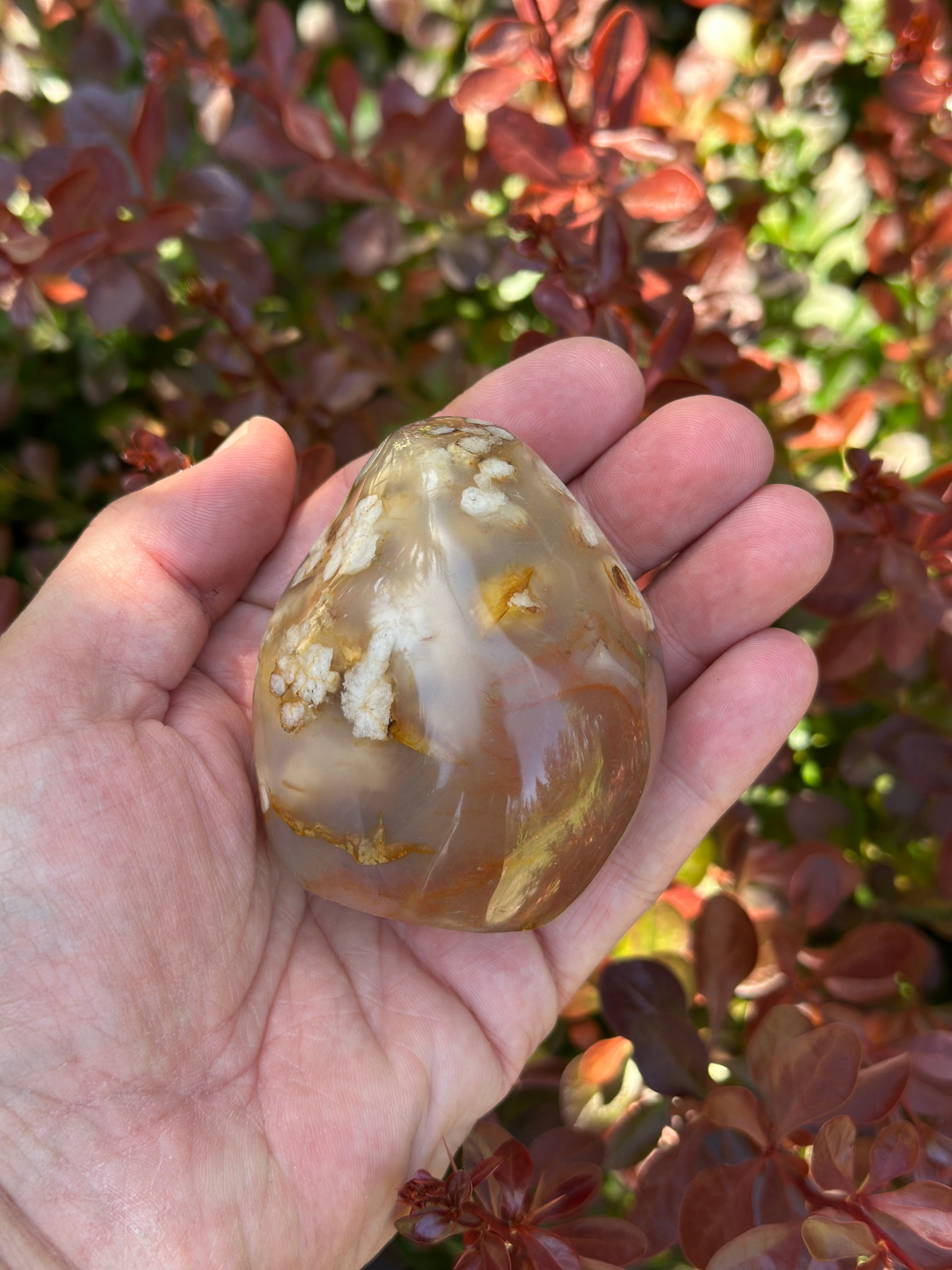 Flower Agate Freeform