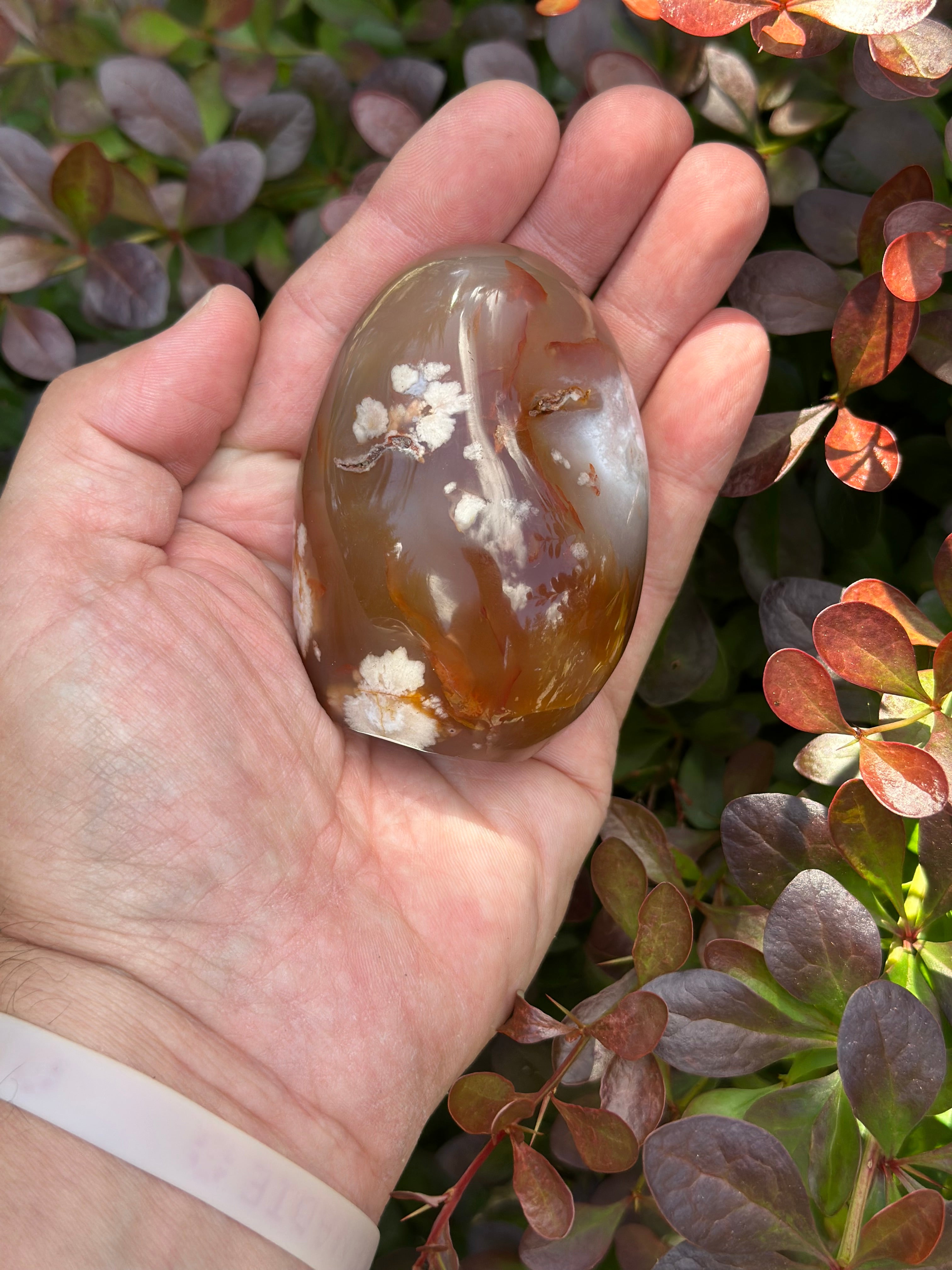 Desert Bloom-Flower Agate Freeform