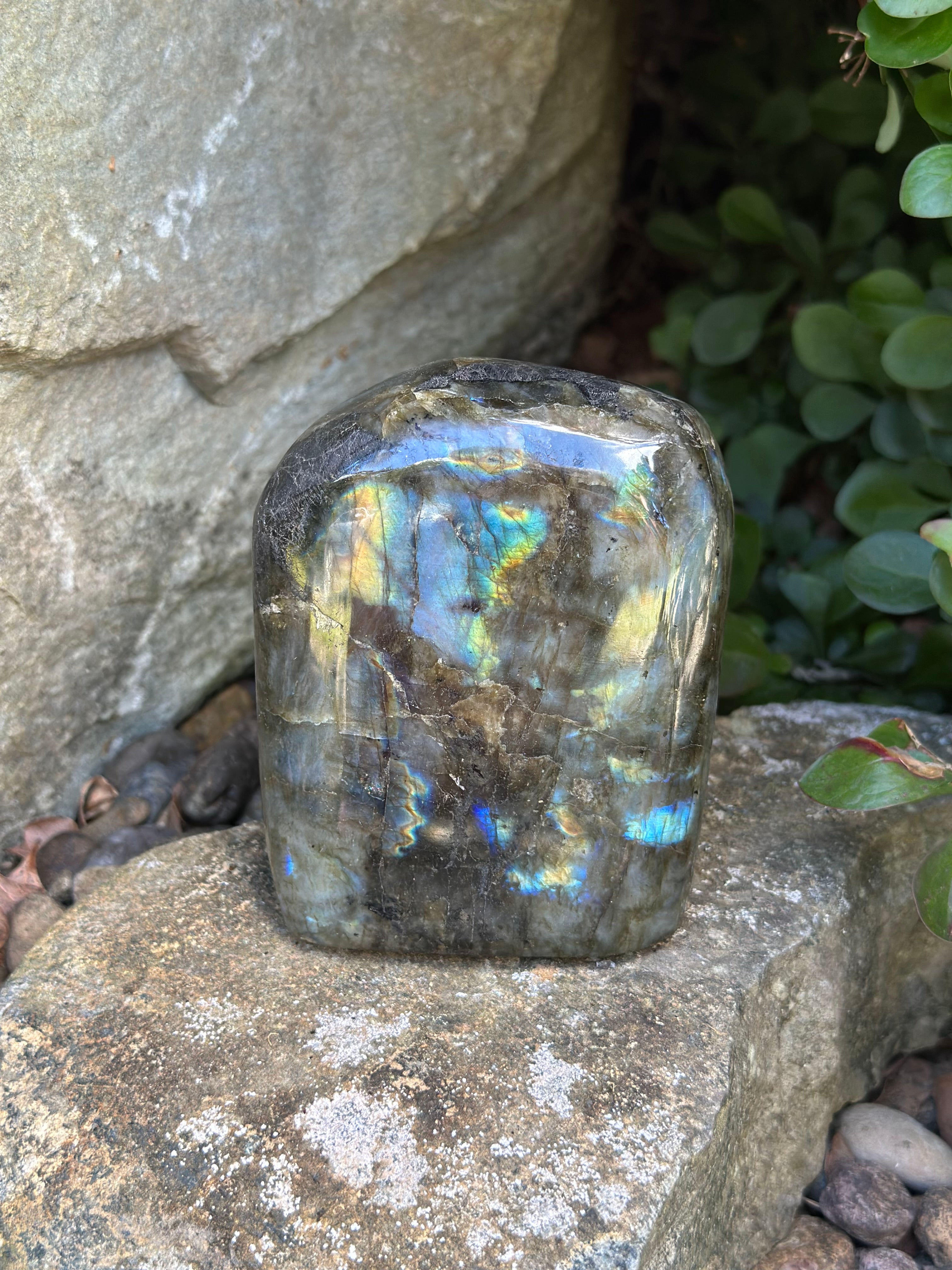 Midnight Aurora Labradorite Free Form