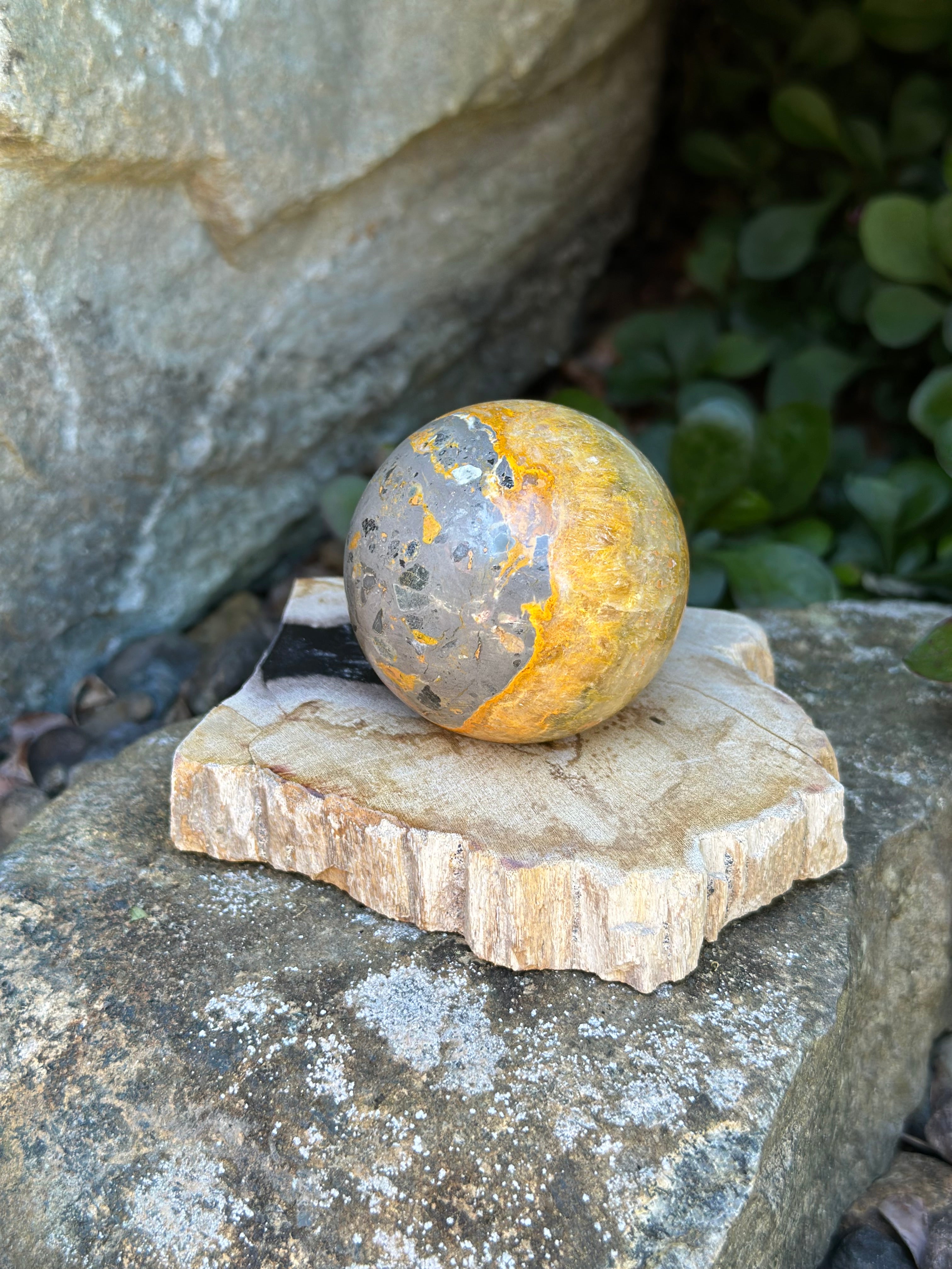 Bumblebee Jasper Sphere B with petrified wood stand