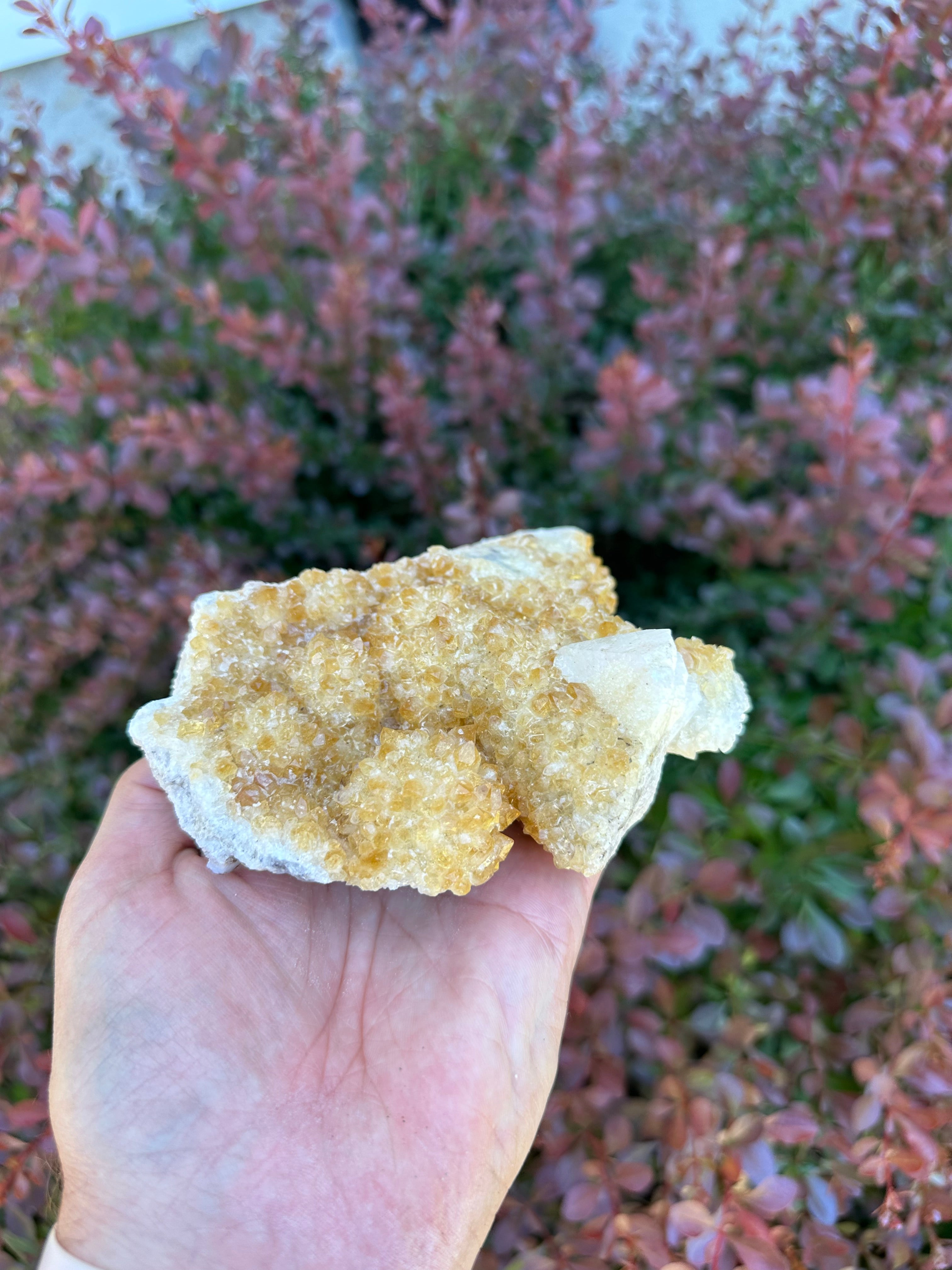 Citrine Cluster