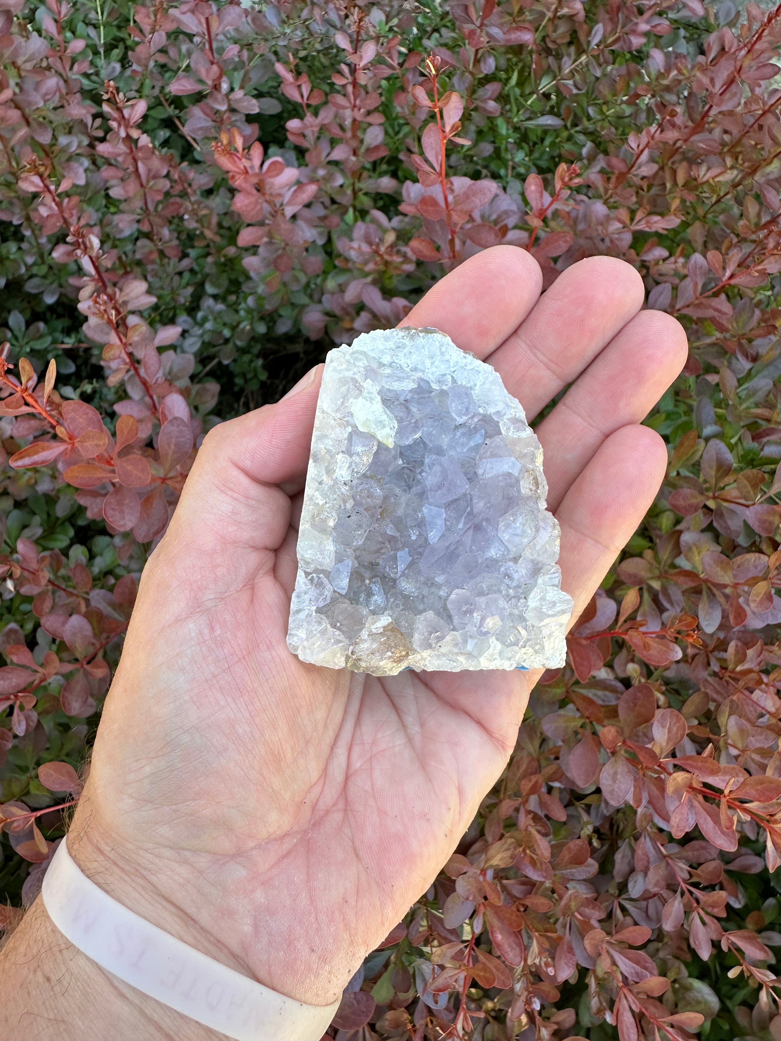 Amethyst Cluster