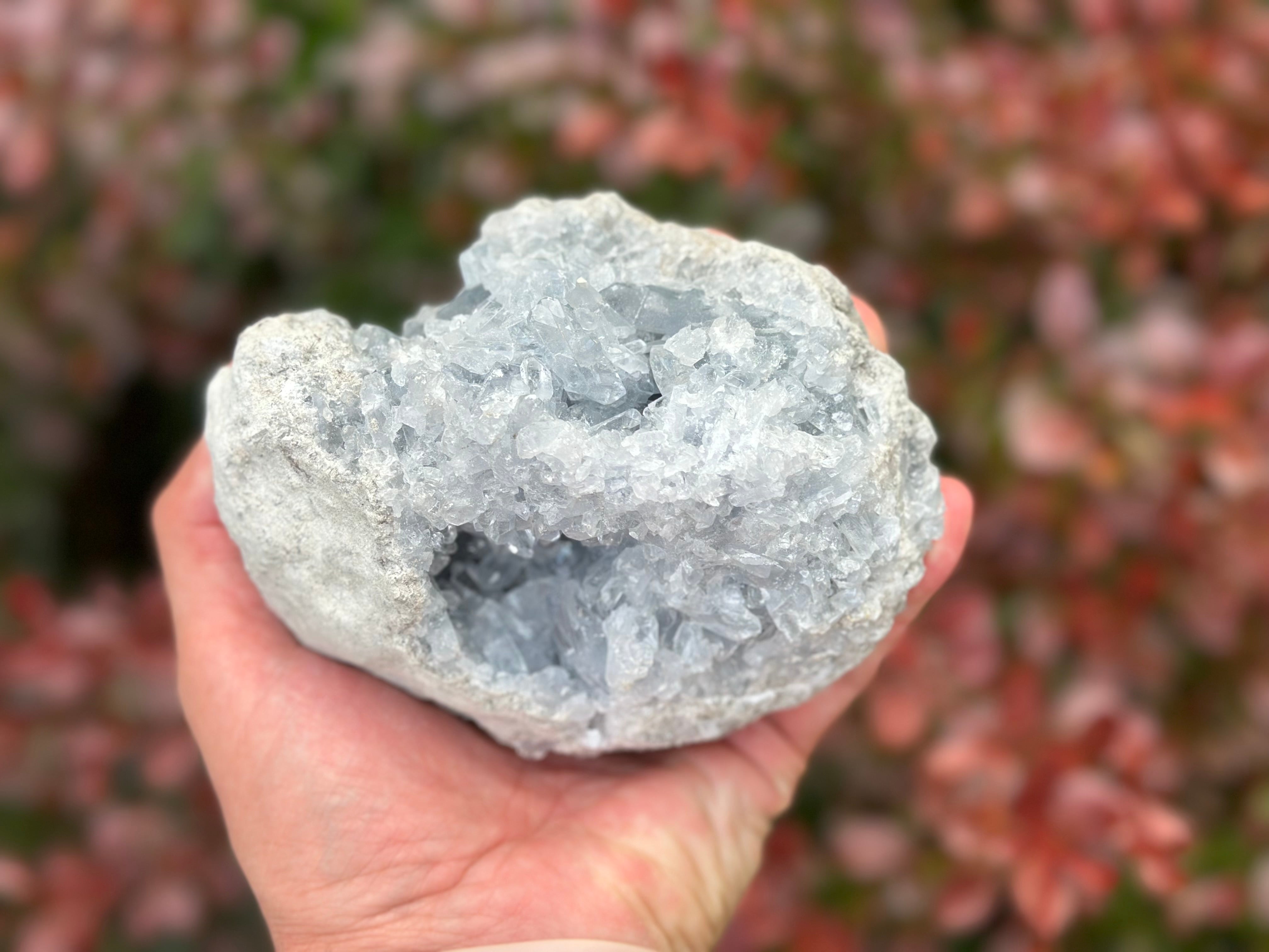 Sanctuary of Stillness- Celestite Geode