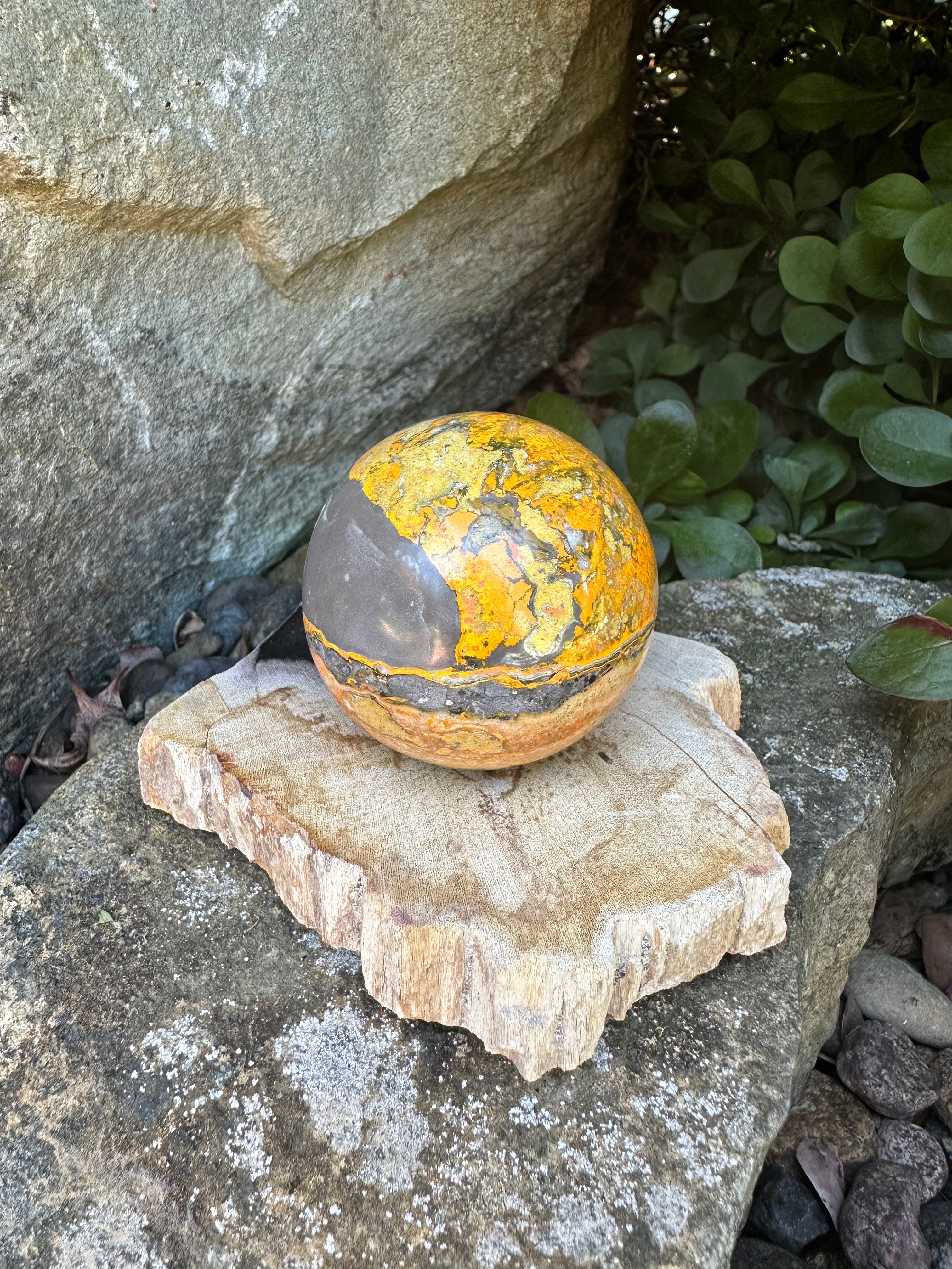 Bumblebee Jasper Sphere A with petrified wood sphere stand