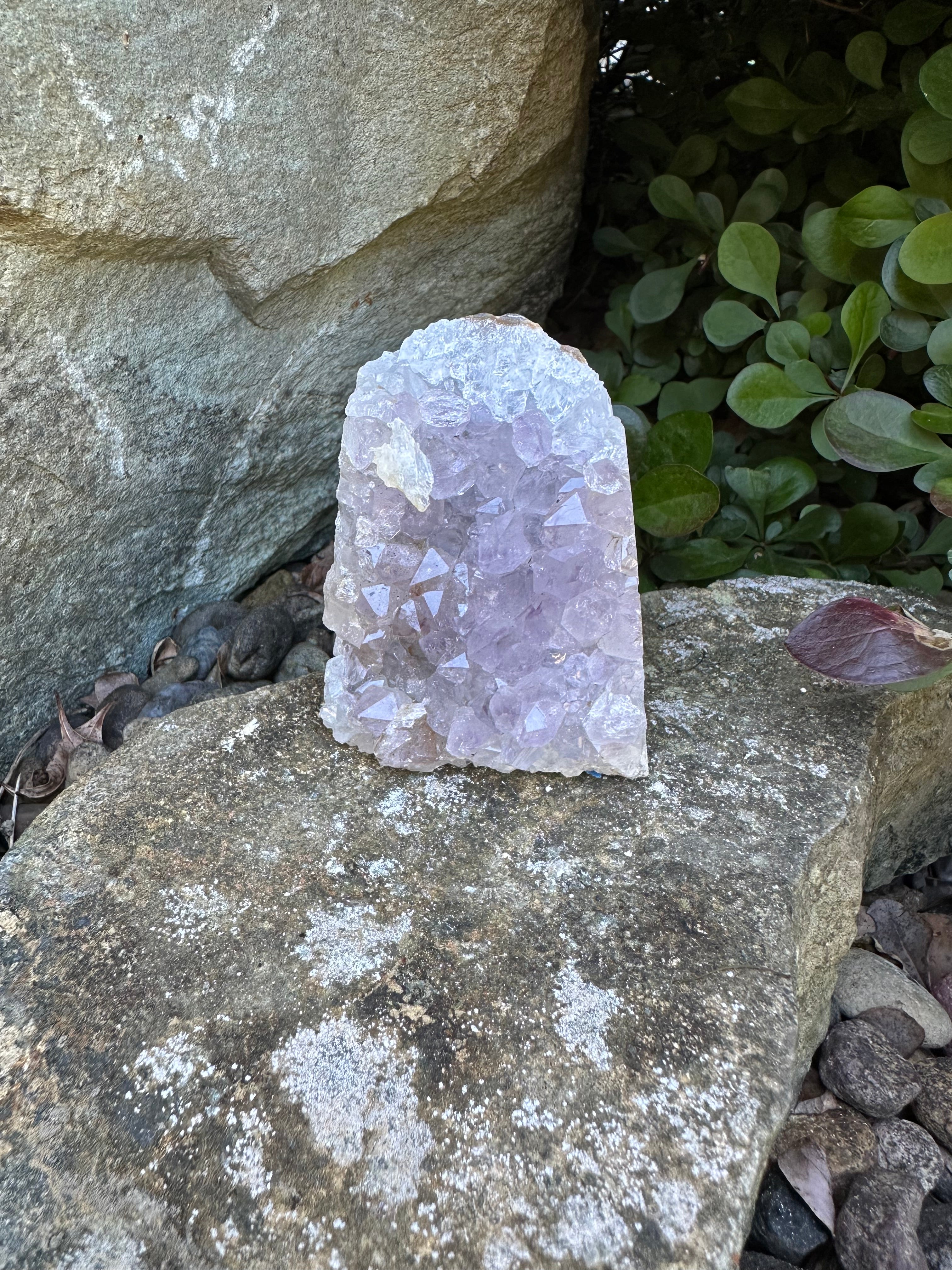 Amethyst Cluster