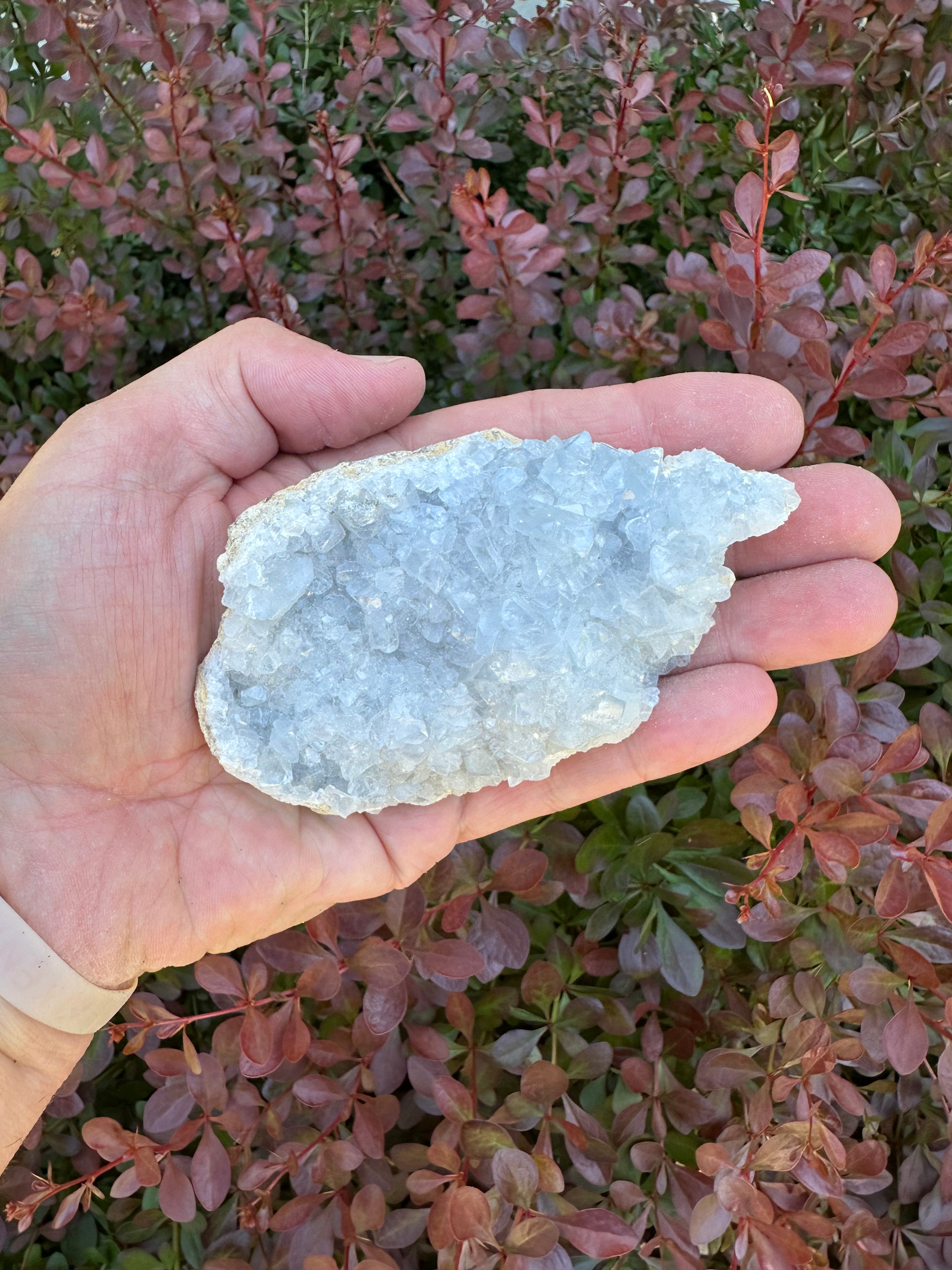 Celestite Cluster