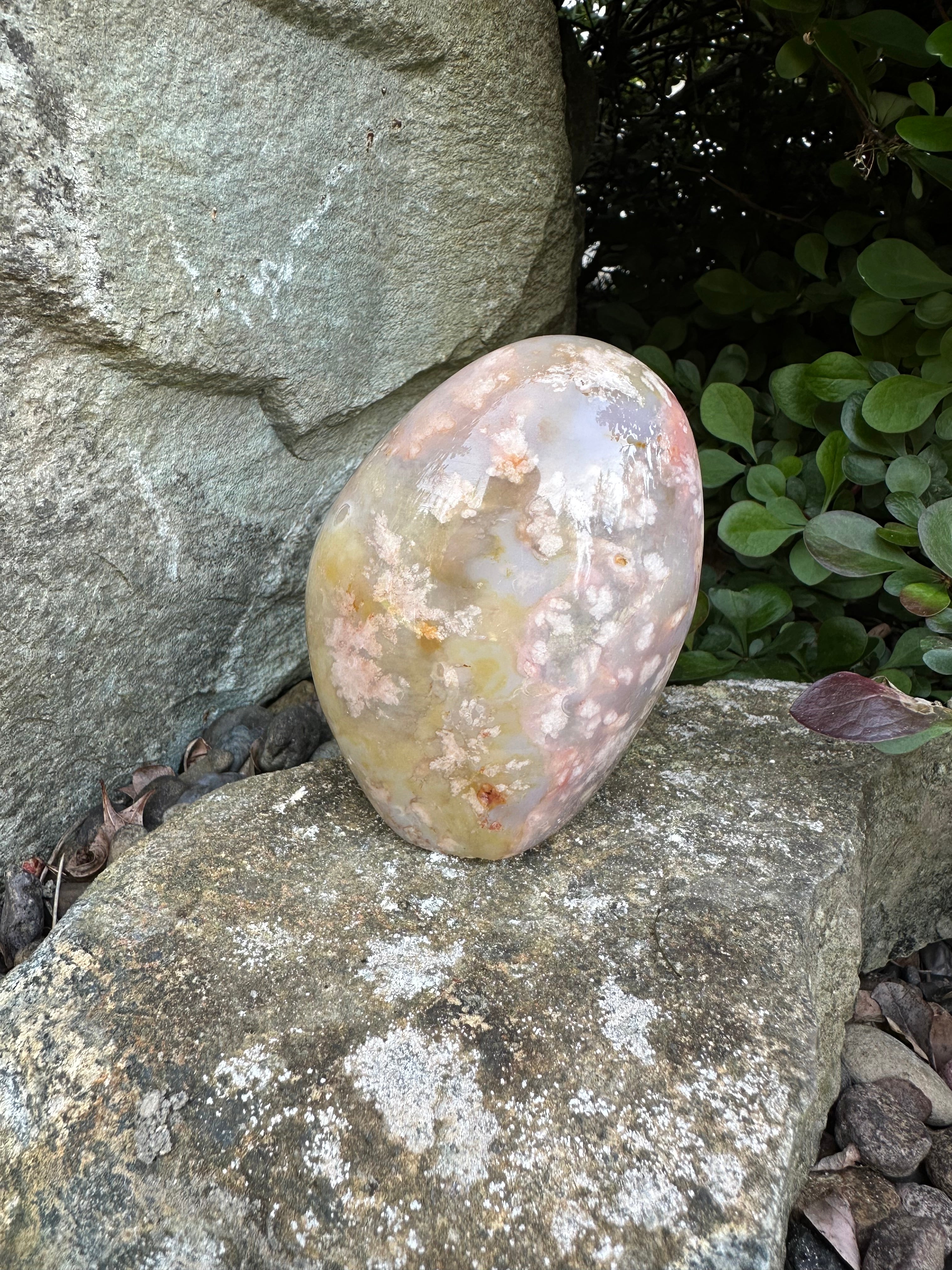 Flower Agate Freeform