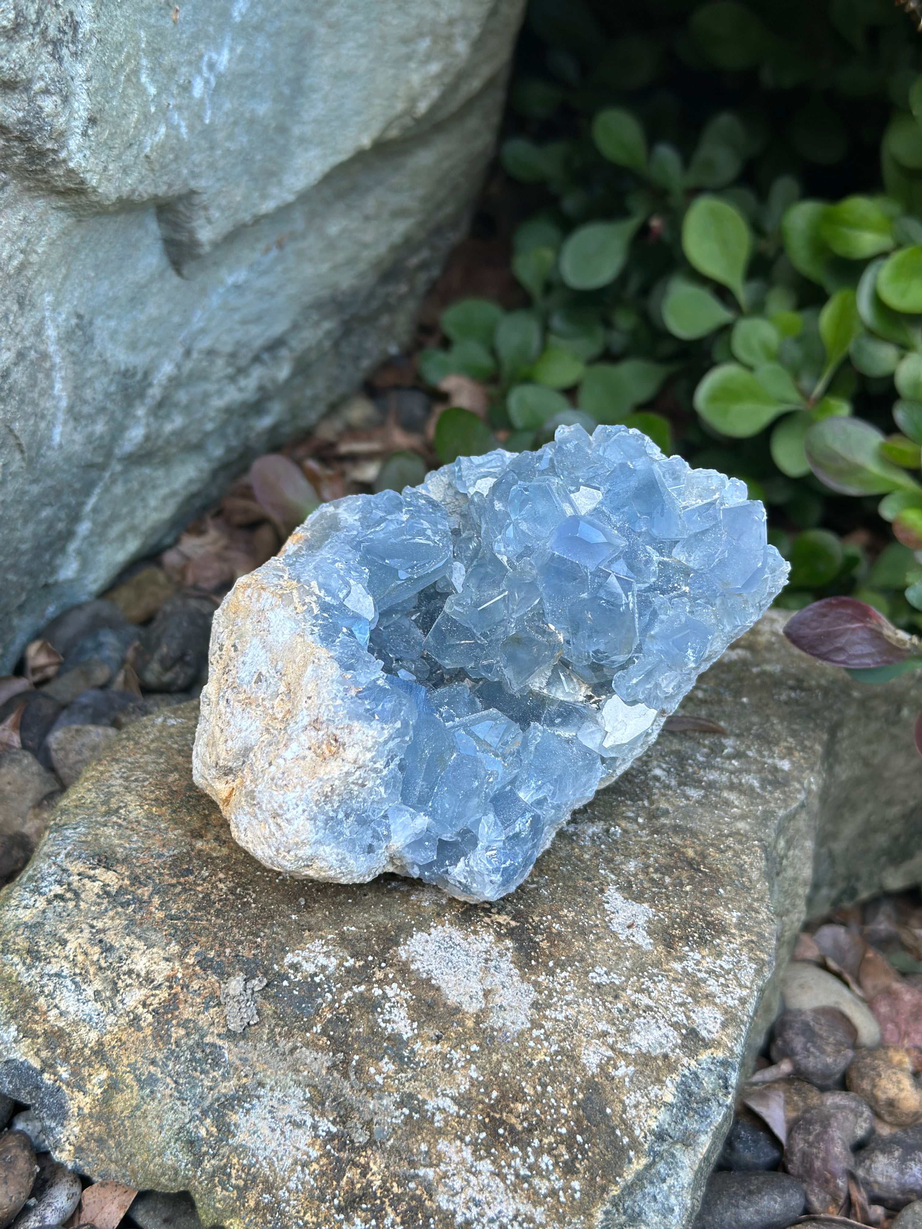 Celestite Cluster