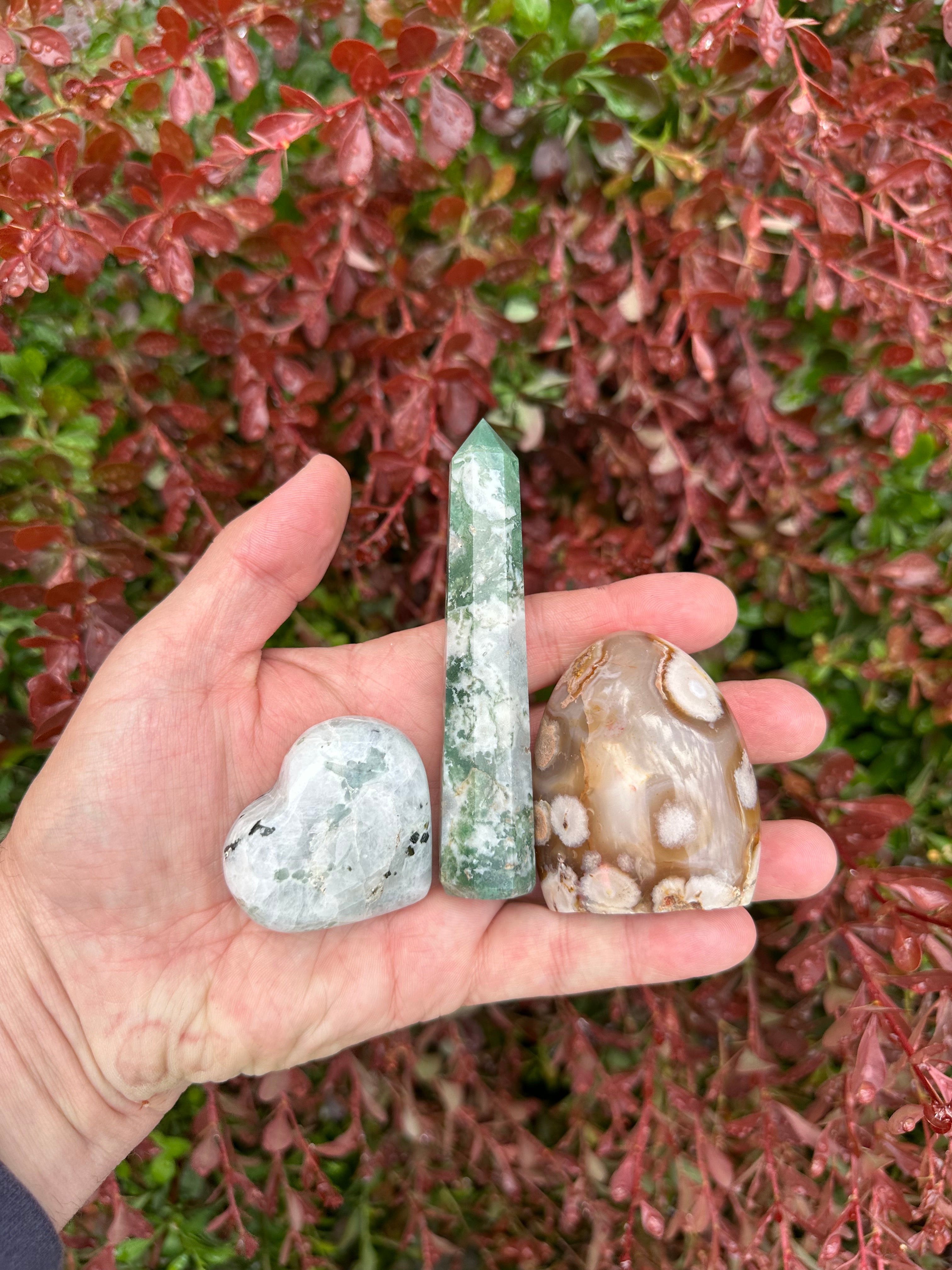 The Emotional Healing Collection