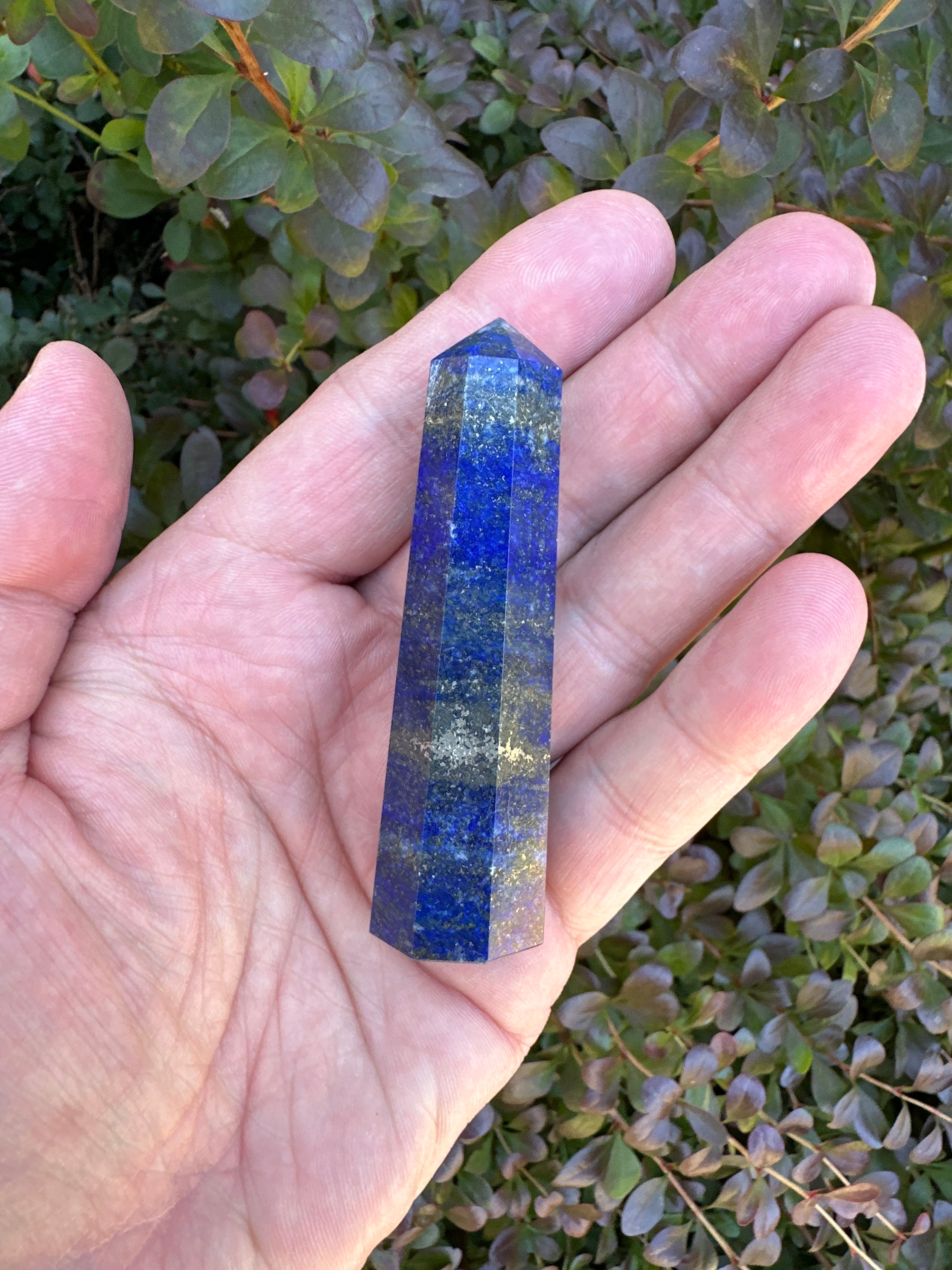 Lapis Lazuli Tower B
