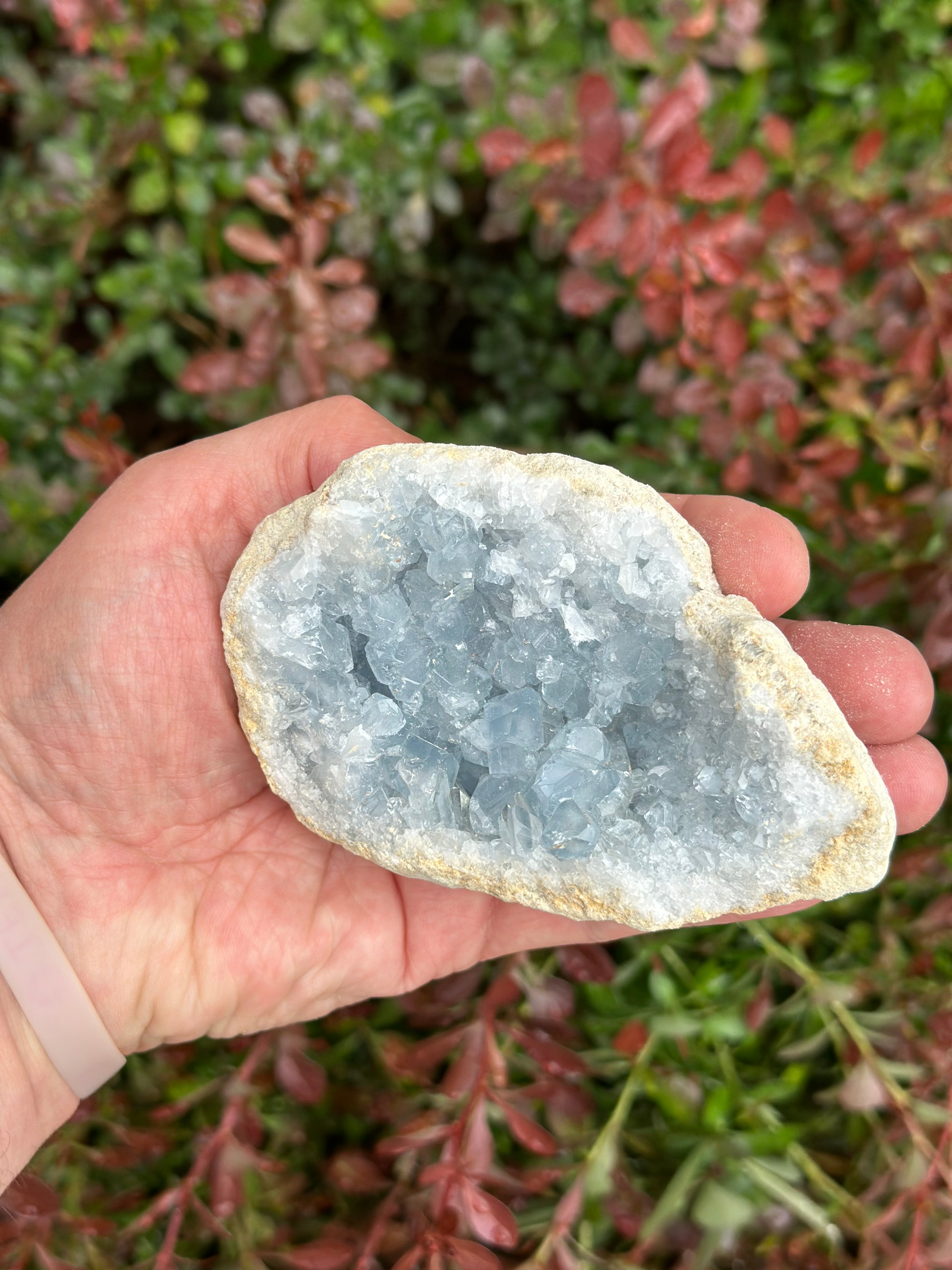 Celestite Cluster