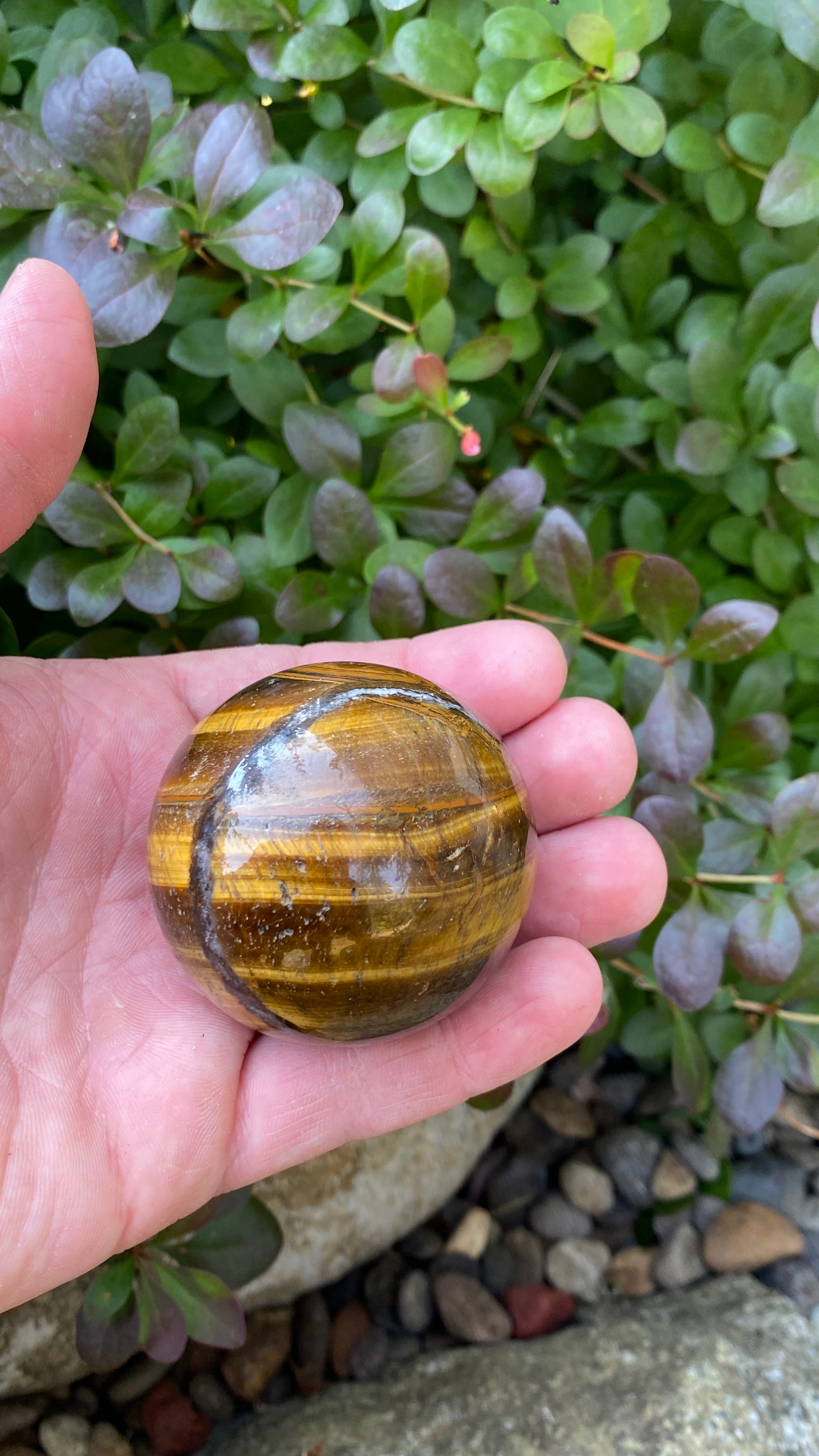 Tigers Eye Sphere