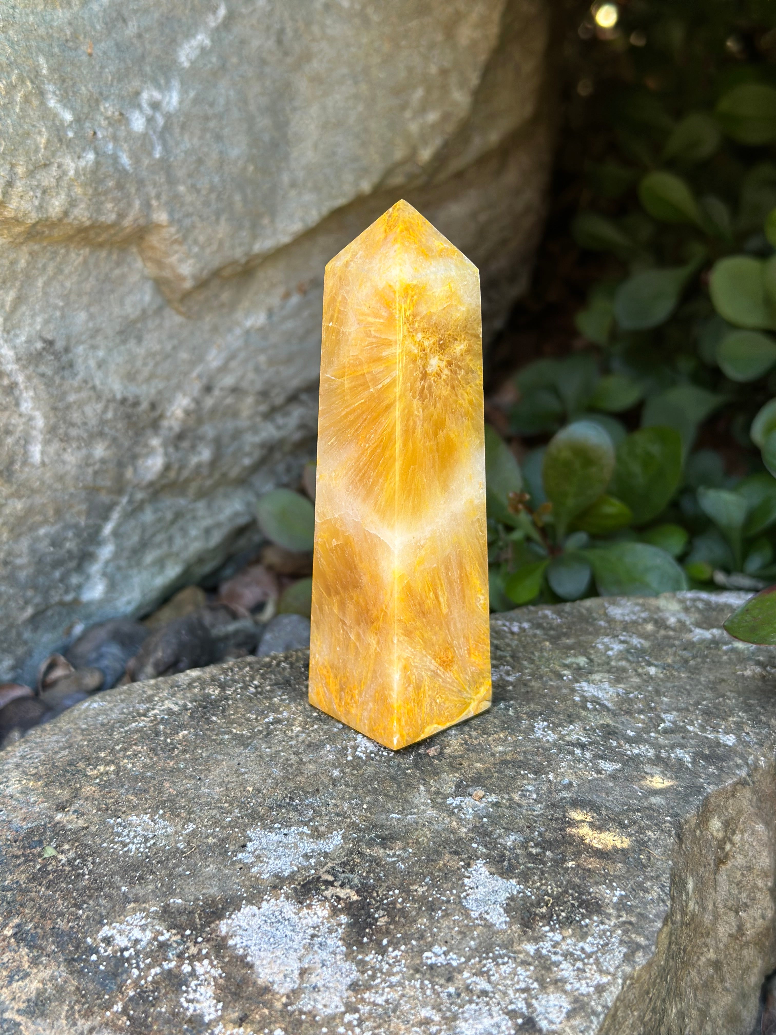 Bumblebee Jasper Tower B