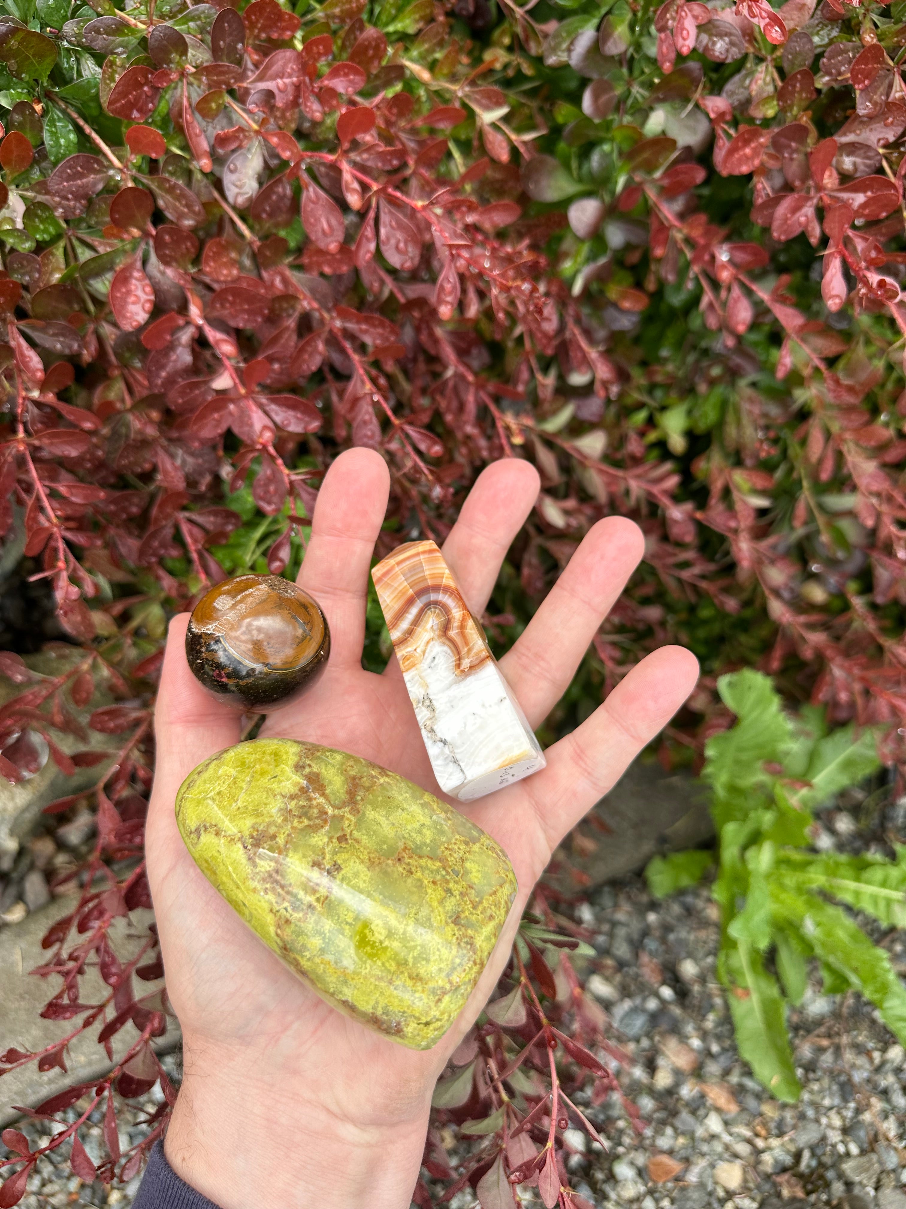 The Rooted Abundance Collection
