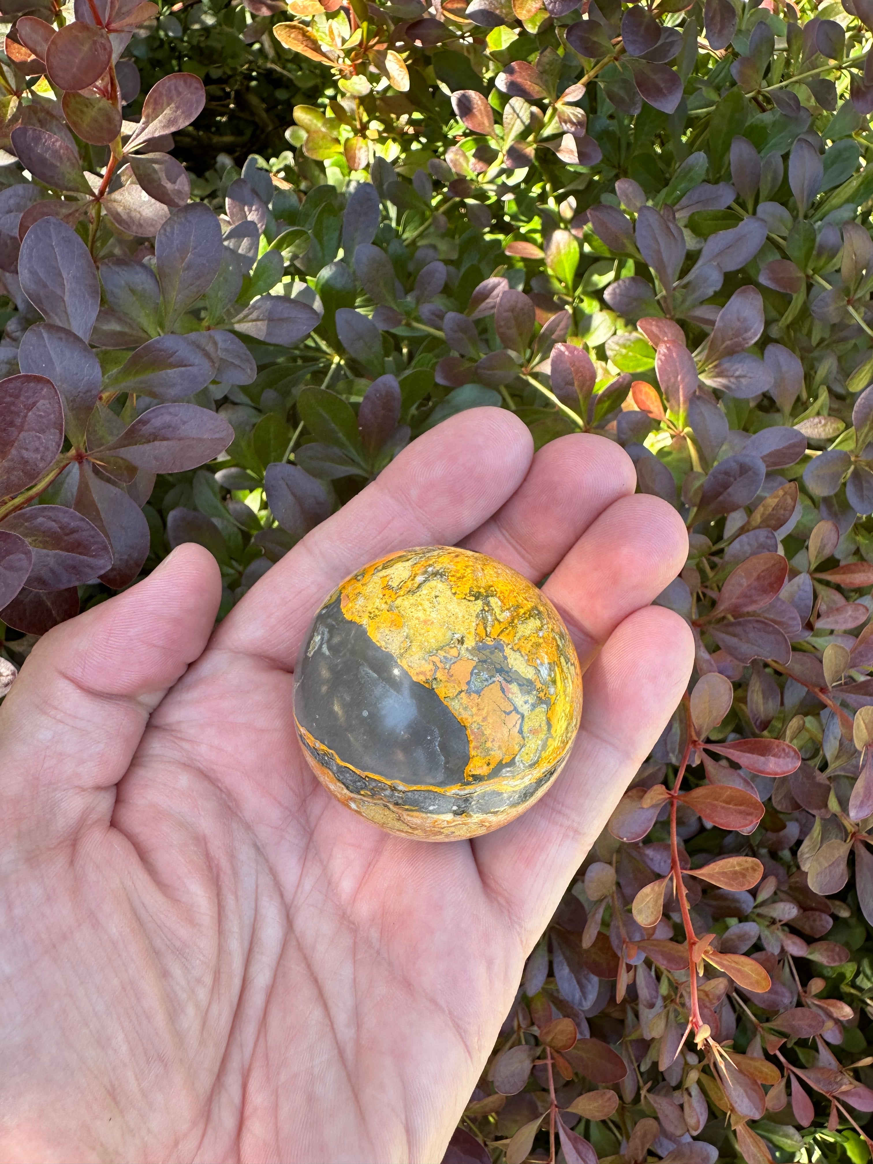 Bumblebee Jasper Sphere A with petrified wood sphere stand