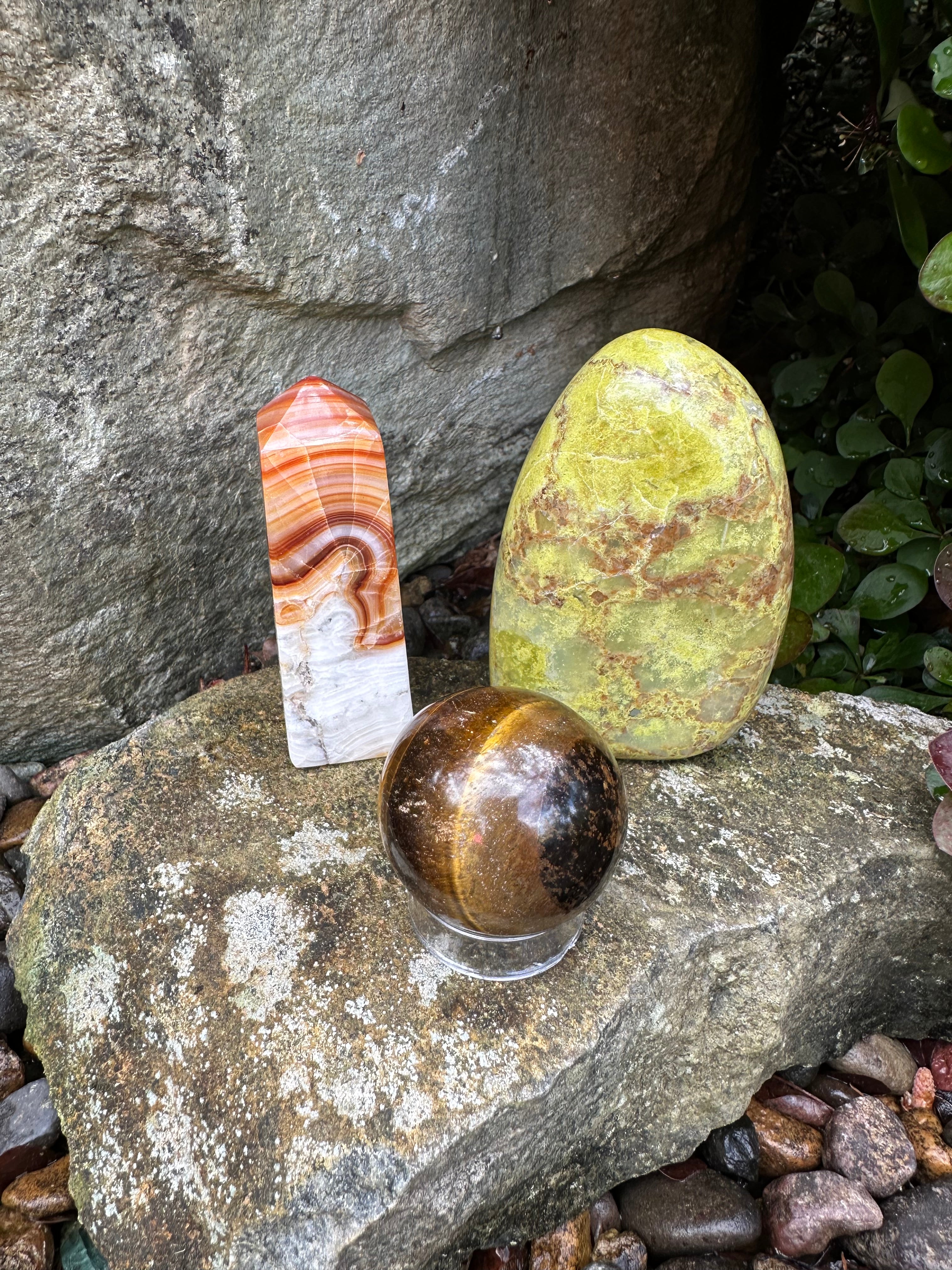 The Rooted Abundance Collection