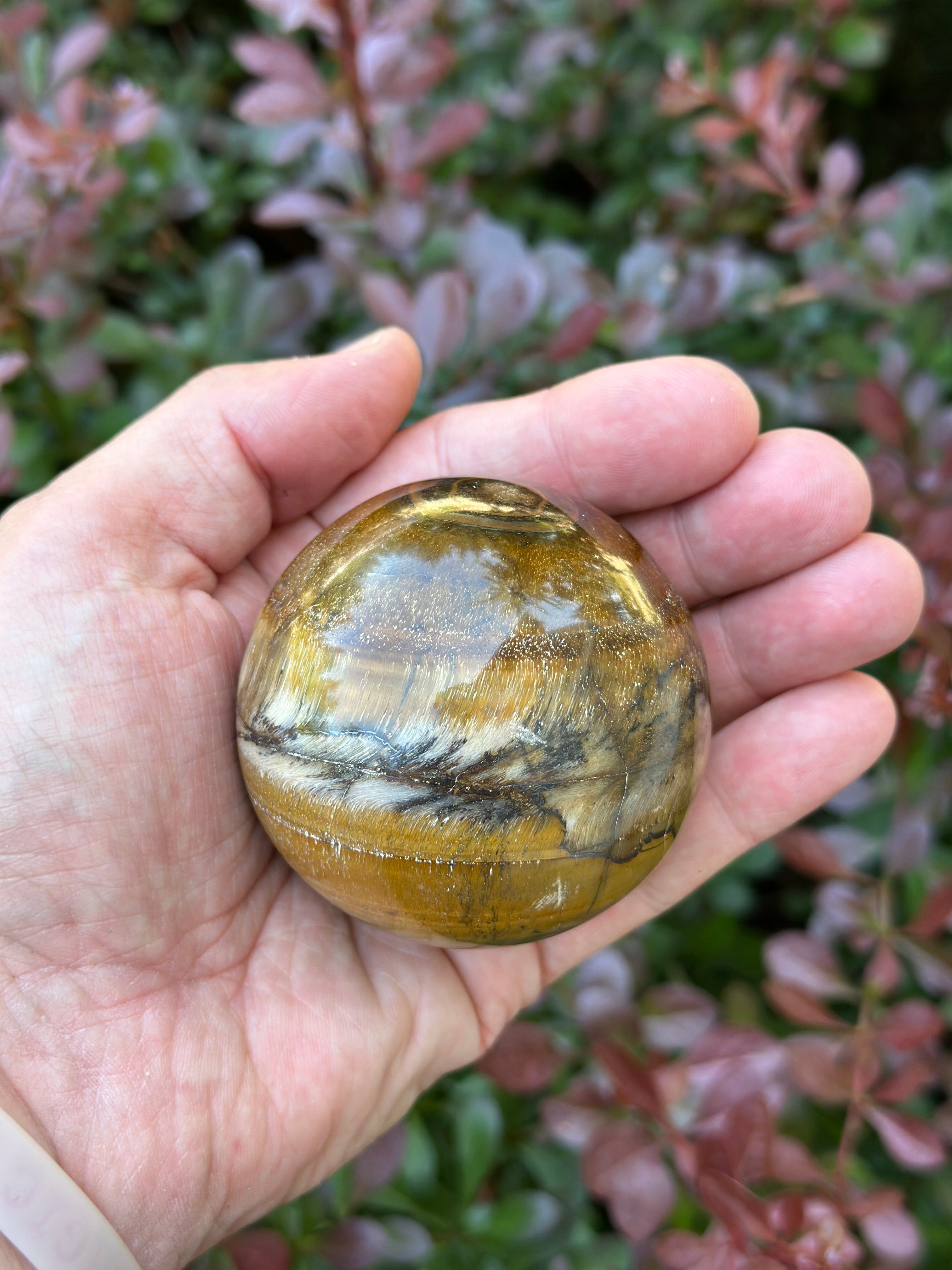 Tigers Eye Sphere