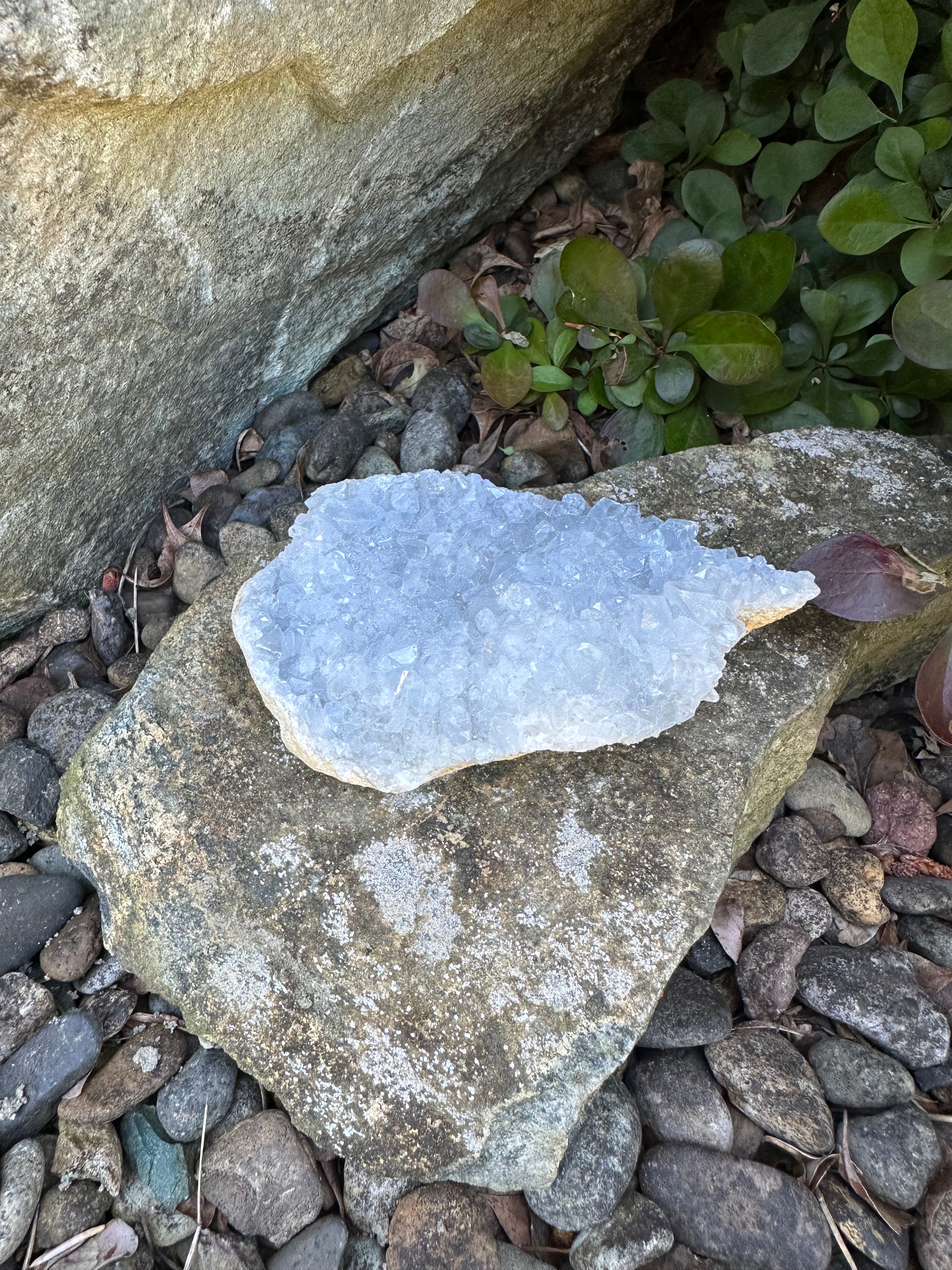 Celestite Cluster