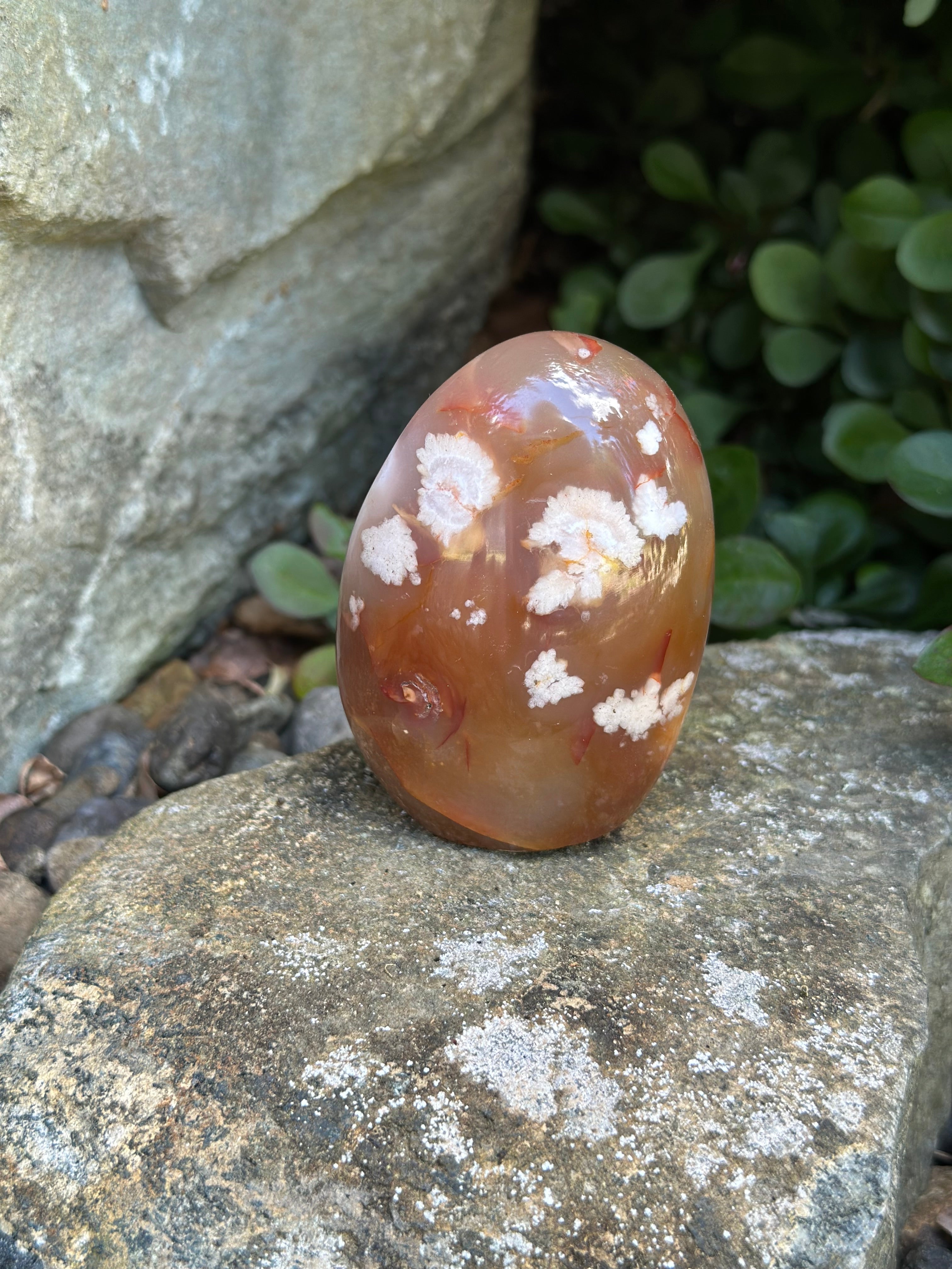 Desert Bloom-Flower Agate Freeform