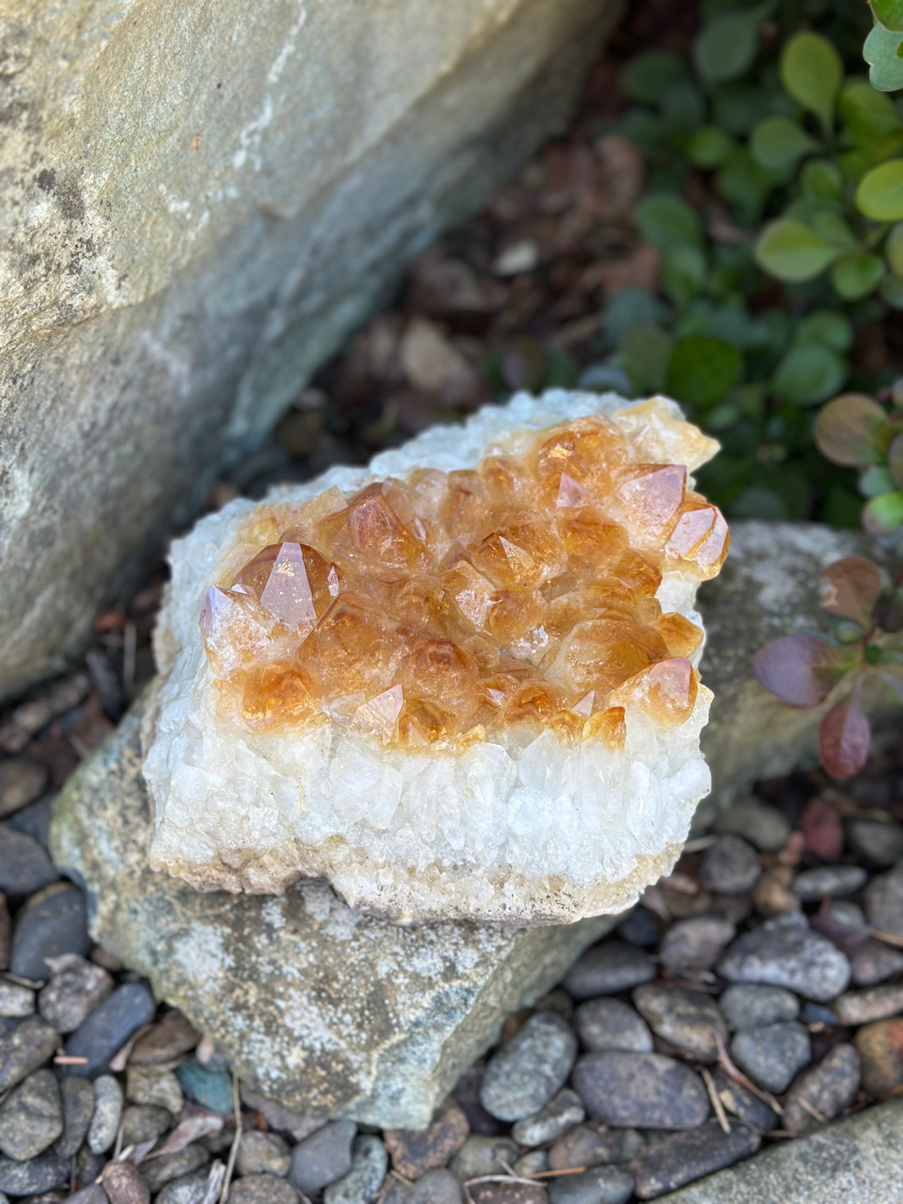 Citrine Cluster
