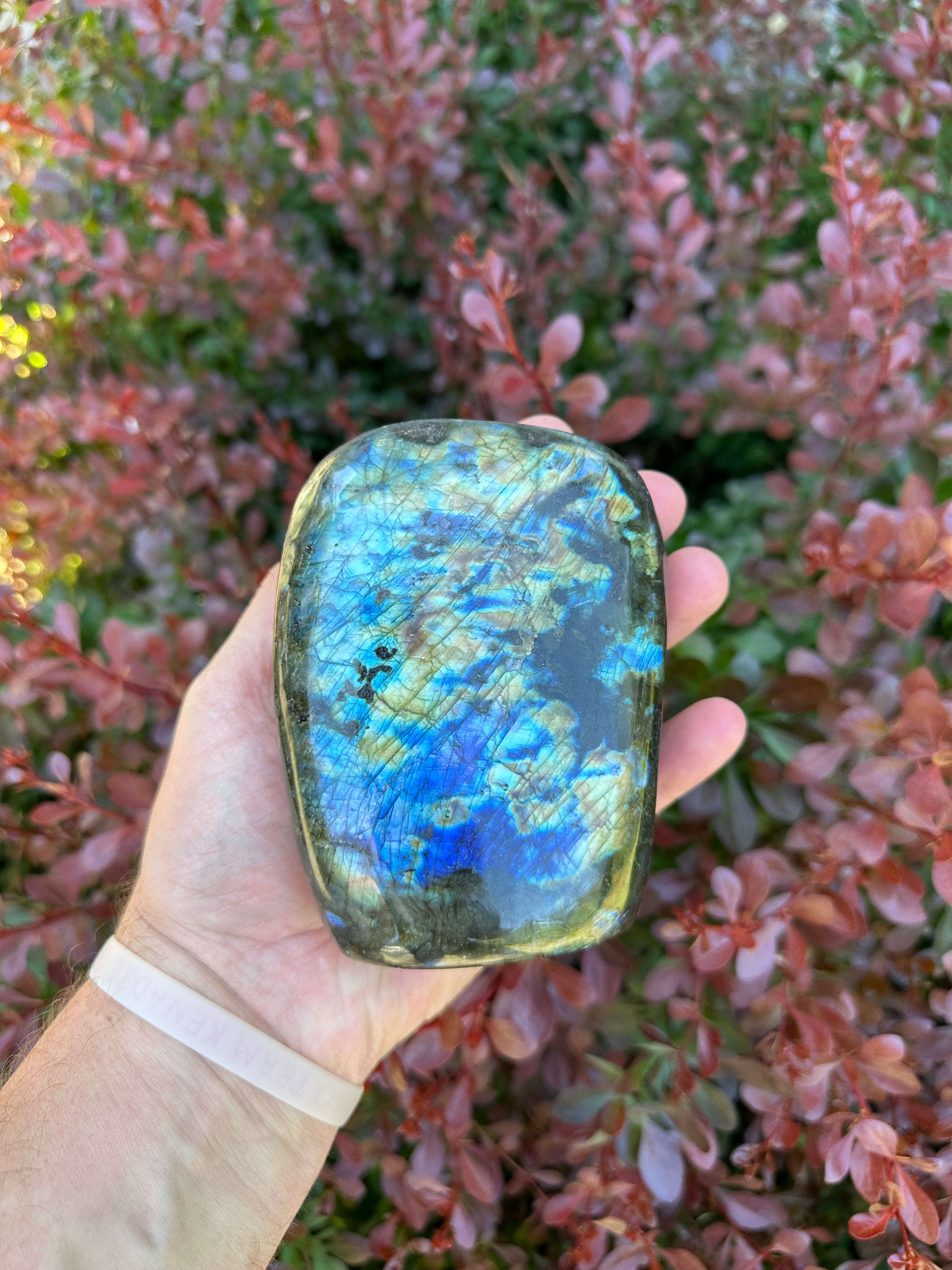 Labradorite Freeform
