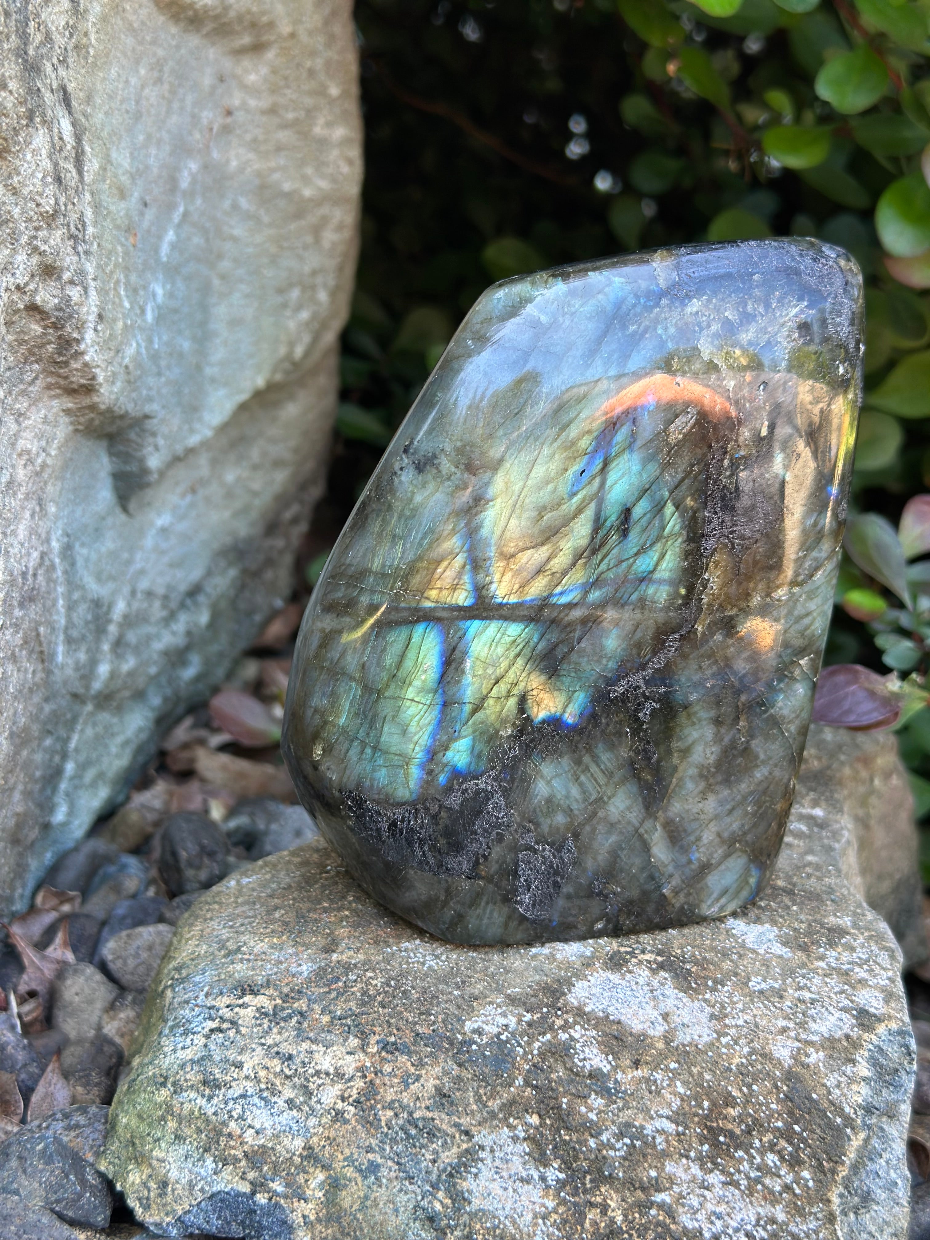 Labradorite Freeform