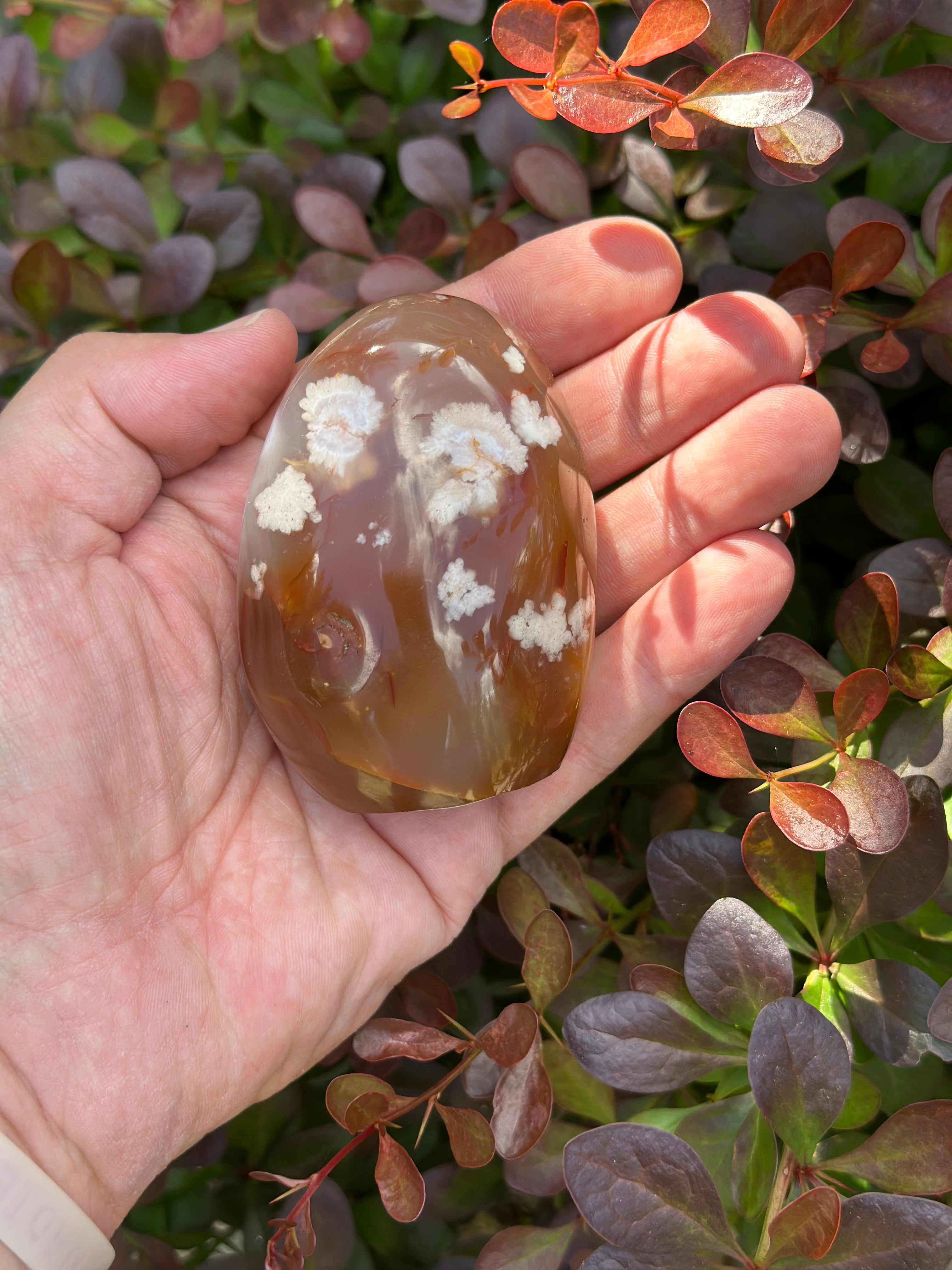 Desert Bloom-Flower Agate Freeform