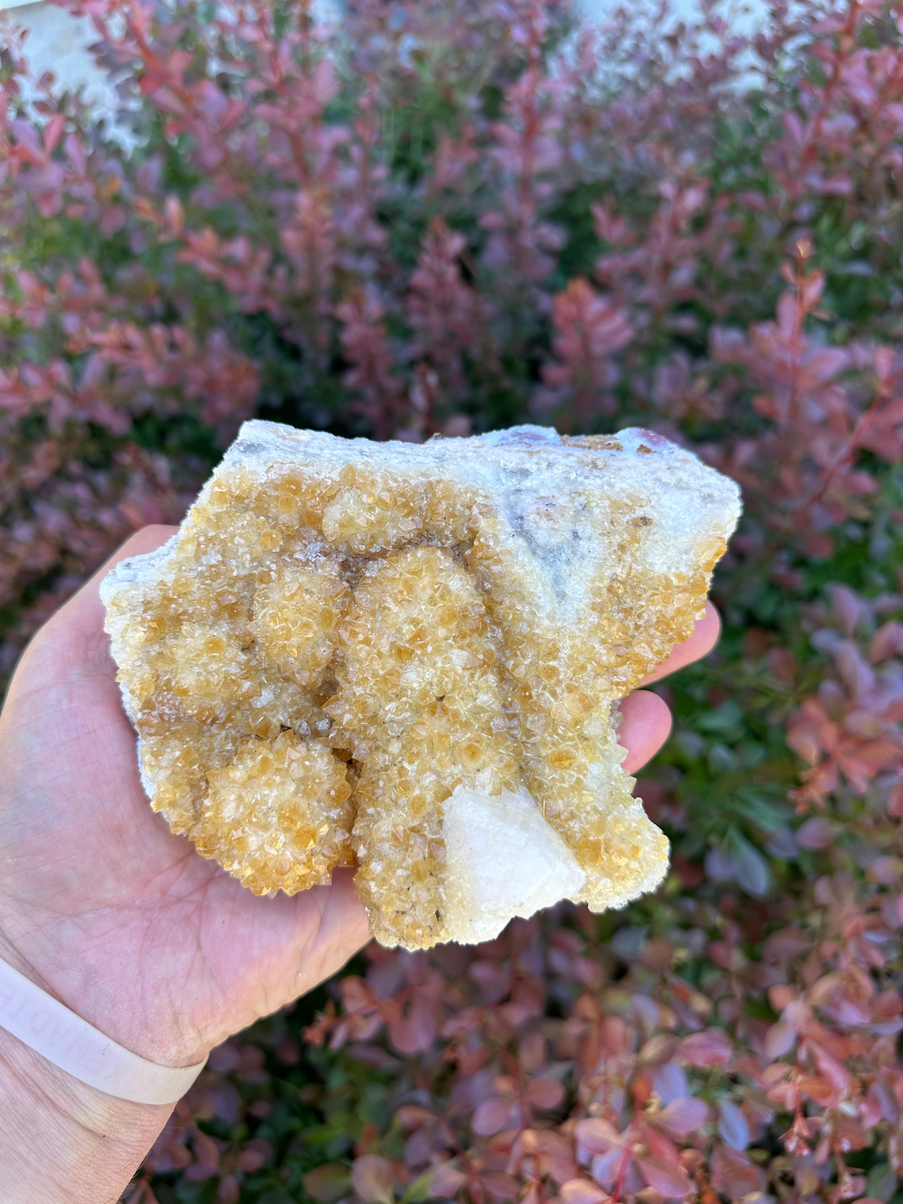 Citrine Cluster