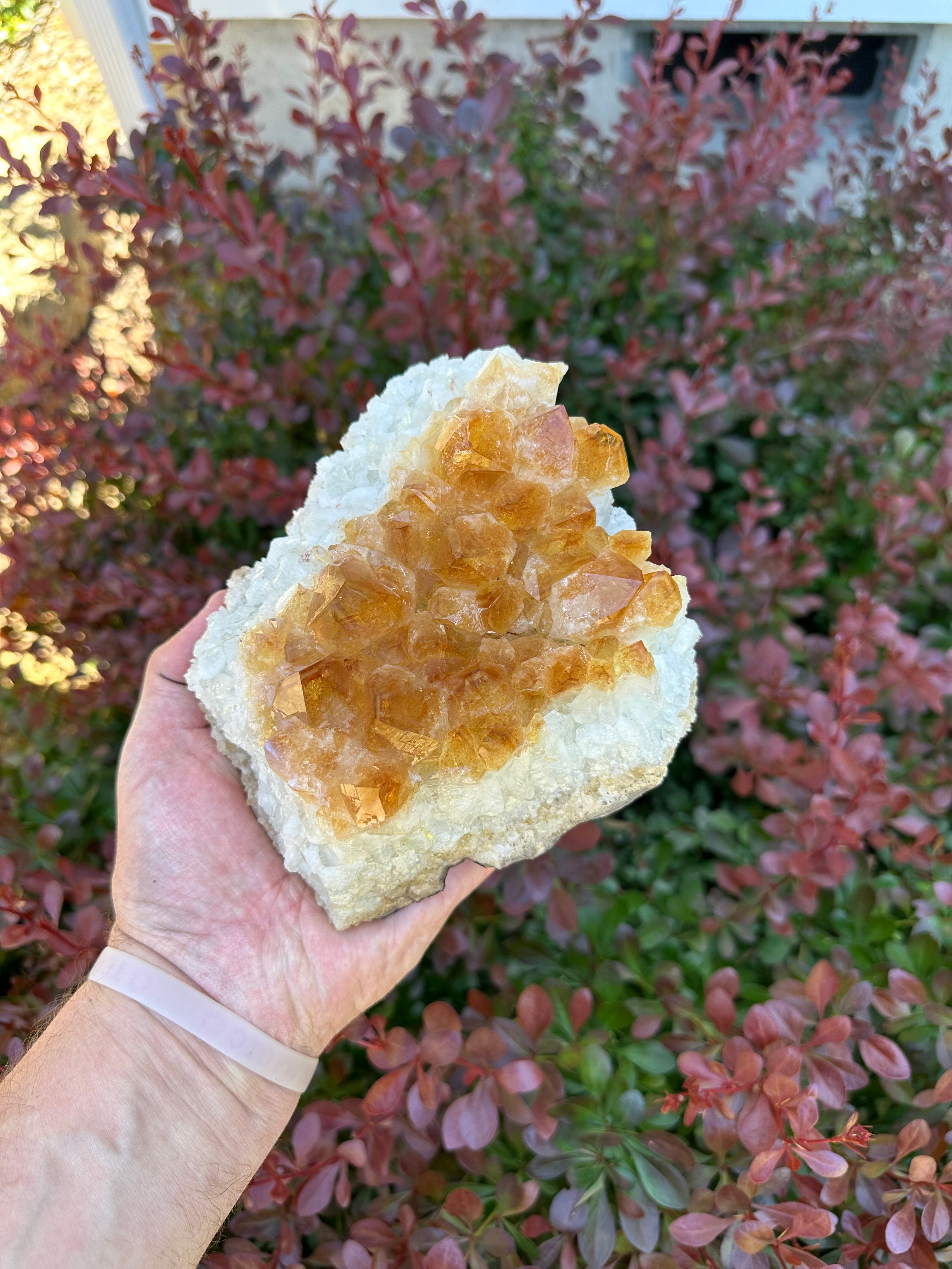Citrine Cluster