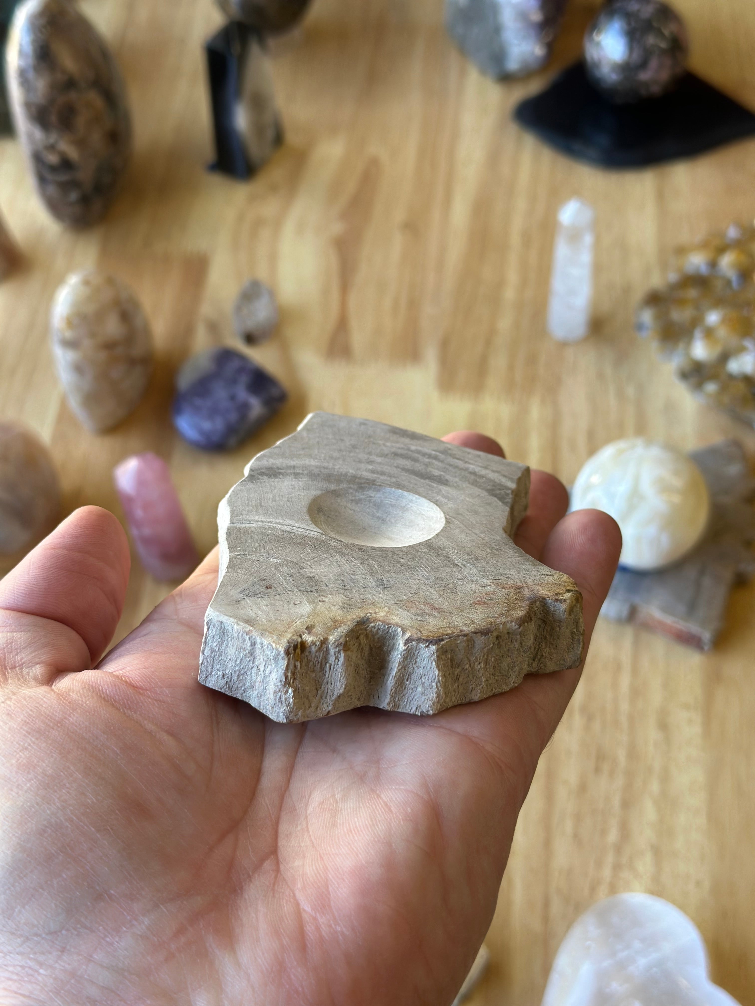 Petrified Wood Sphere Stand